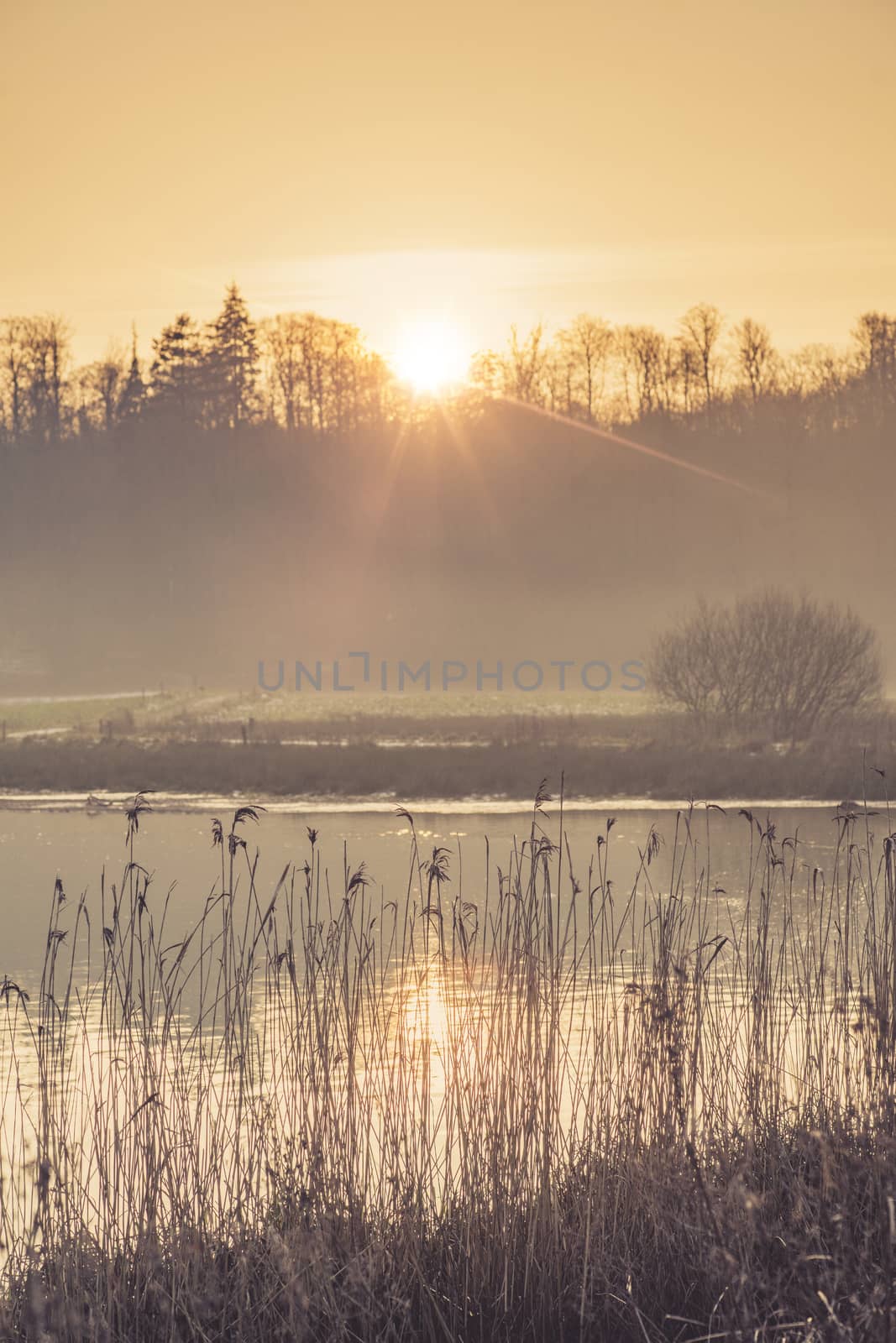 Lake scenery in the morning sunshine with mist by Sportactive
