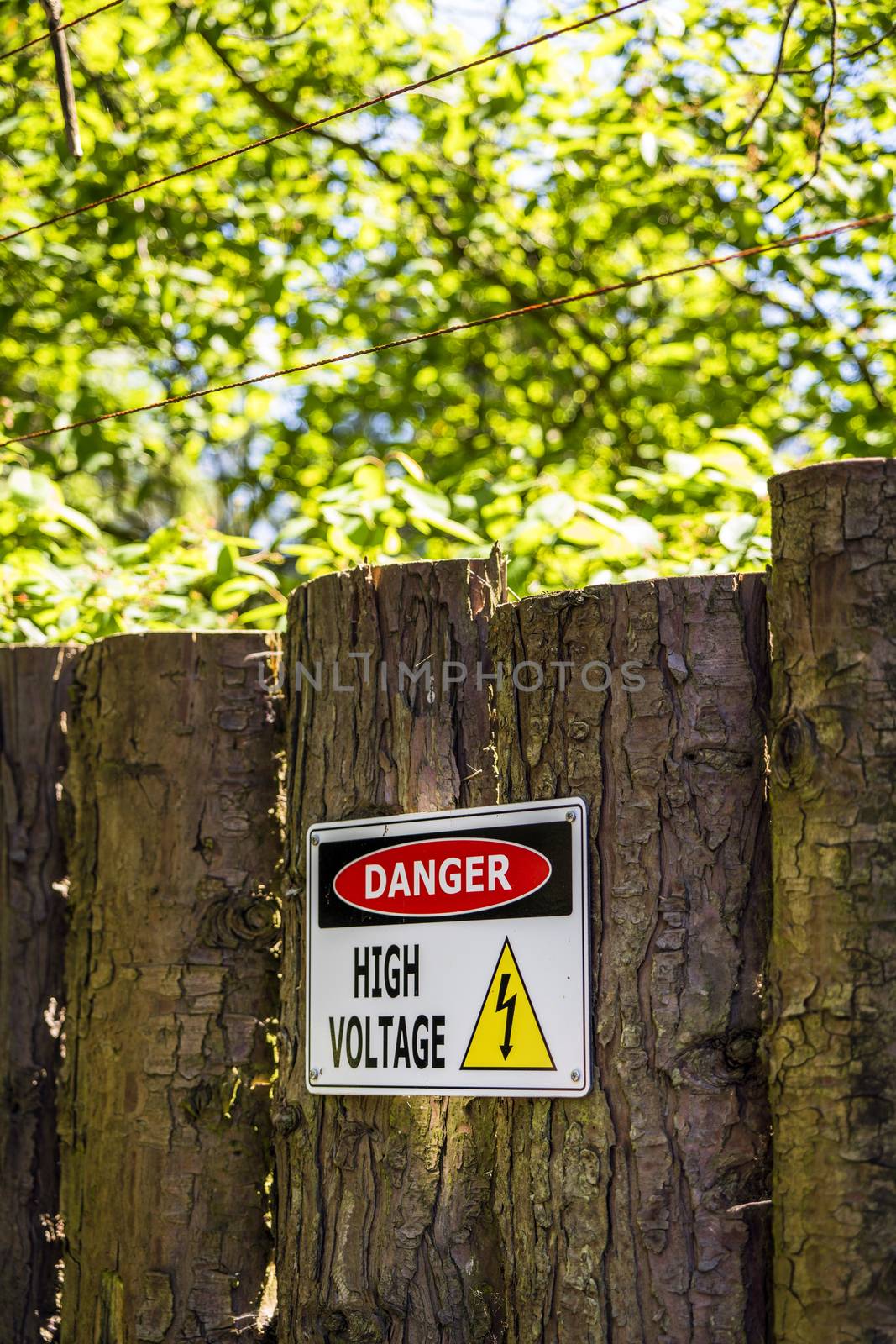 High voltage sign on a wooden fence with electrical wires in a park with green trees