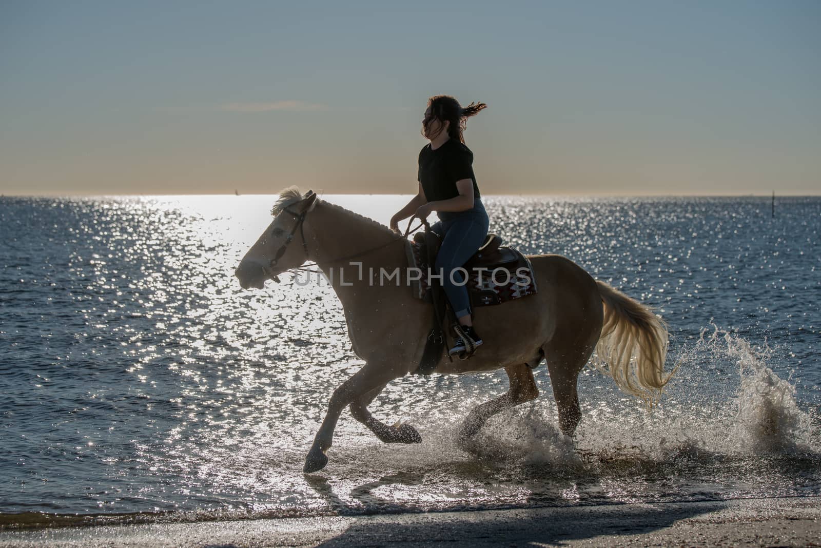 girl riding on haflinger horse during sunset in the sea