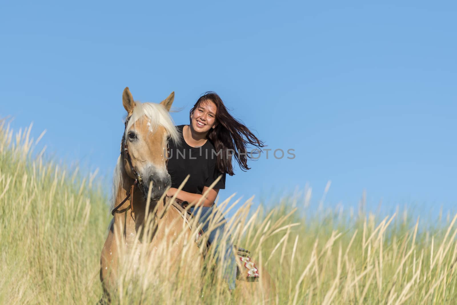 eighteen year old girl a haflinger horse posing with the dunes as background