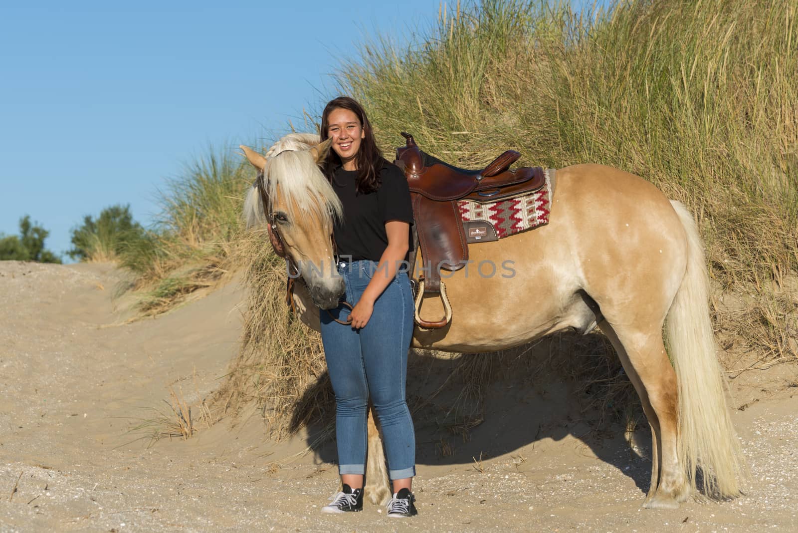 eighteen year old girl posing with her haflinger horse on the beach with the dunes as background
