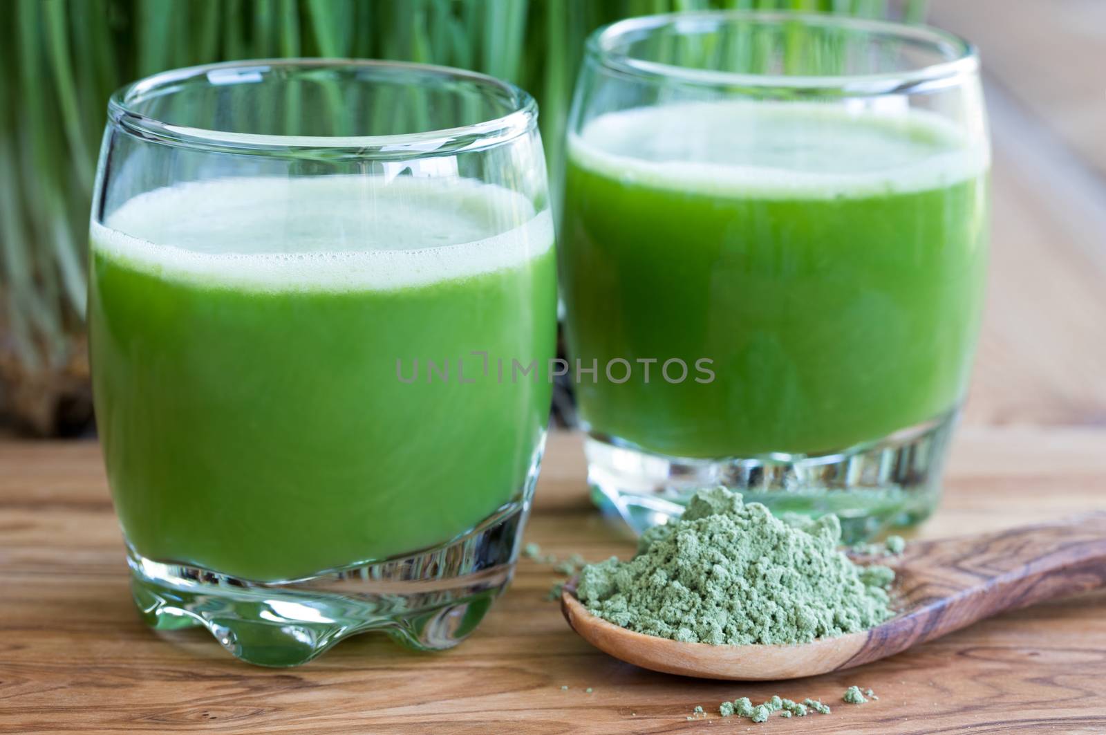 Two shots of fresh barley grass juice, with barley grass powder in the foreground