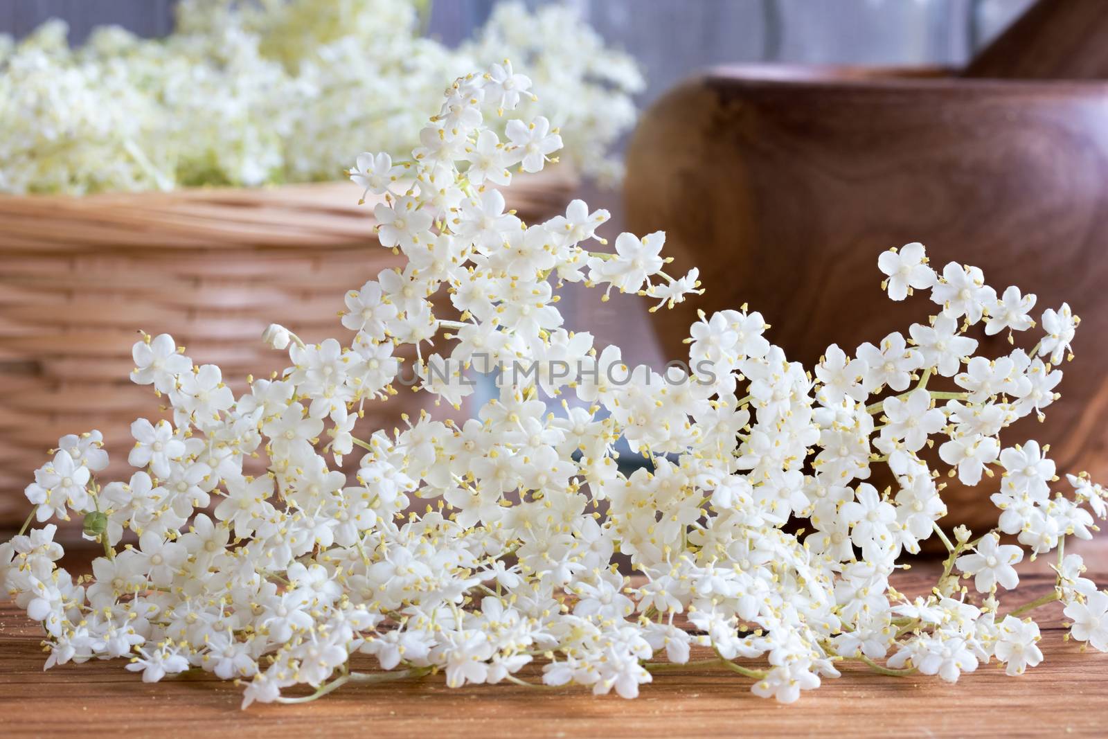 Black elder (sambucus nigra) flowers on a wooden table