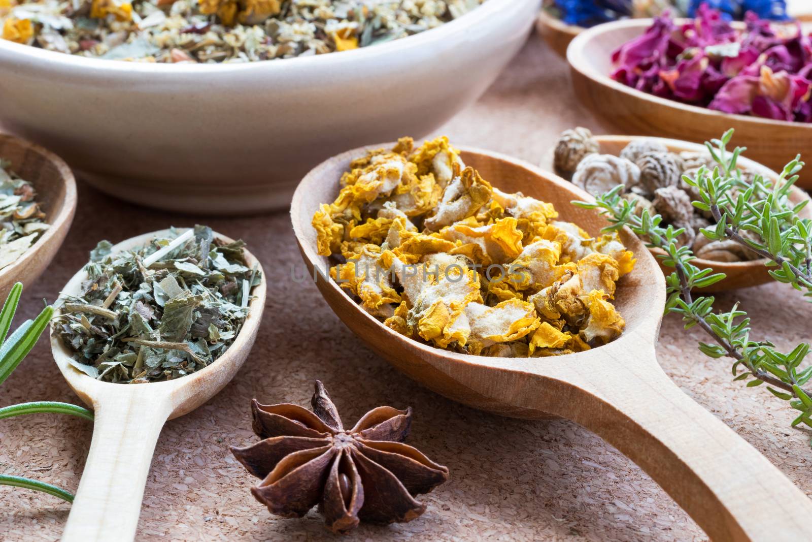 Dried mullein (verbascum) on a wooden spoon, with other herbs in the background