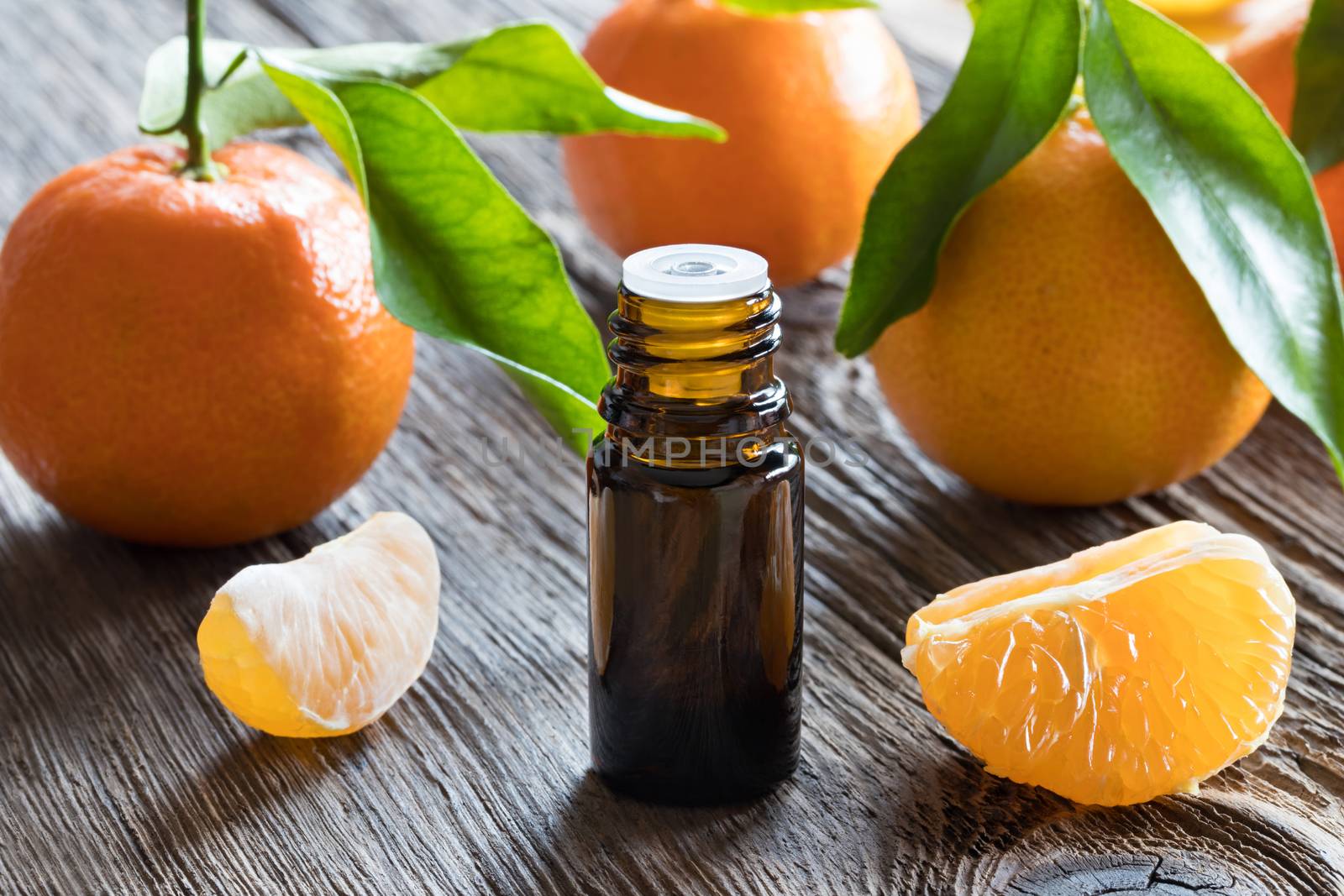 A bottle of tangerine essential oil with fresh tangerines and leaves
