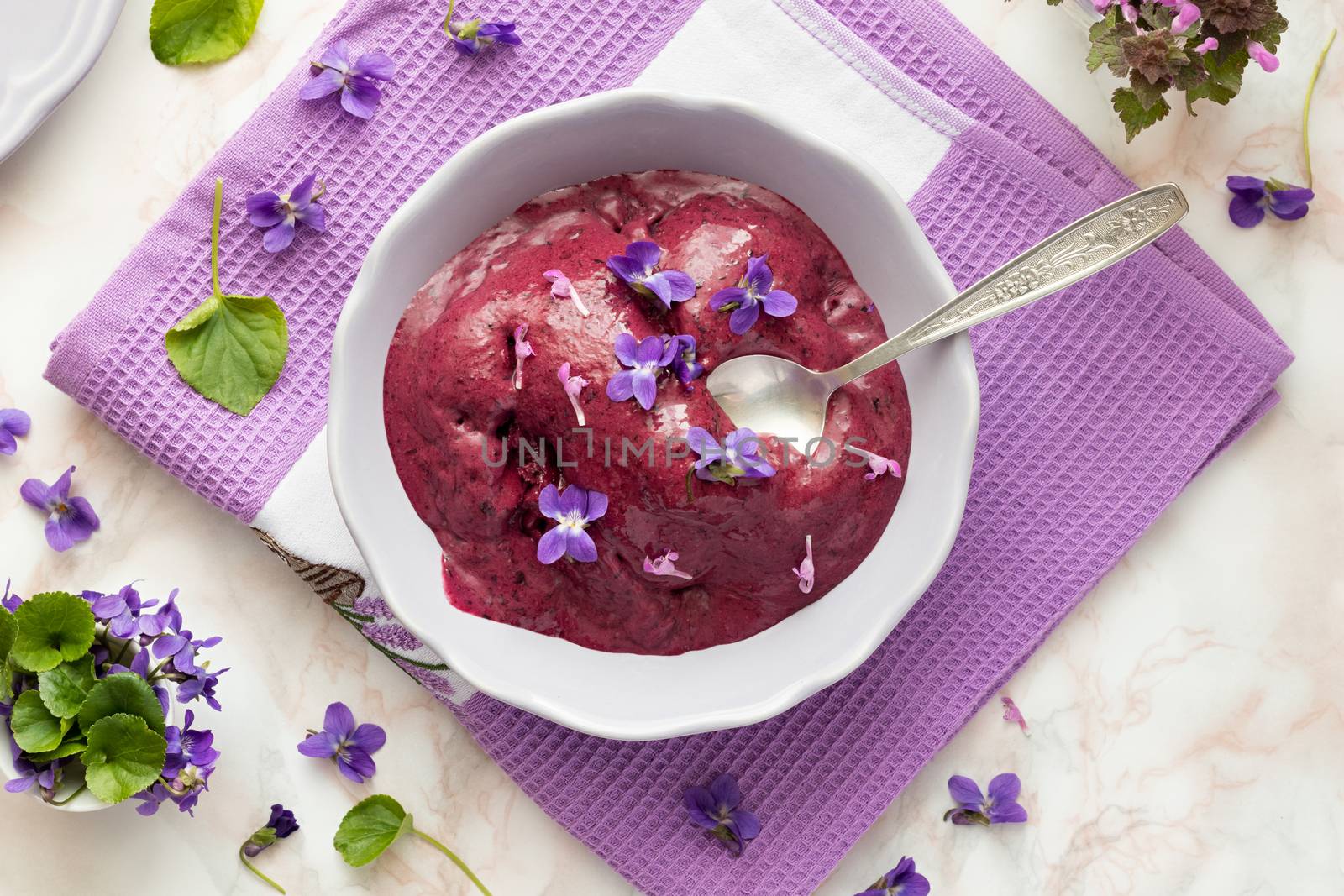 Homemade blueberry ice cream with fresh red dead-nettle and violet flowers, top view