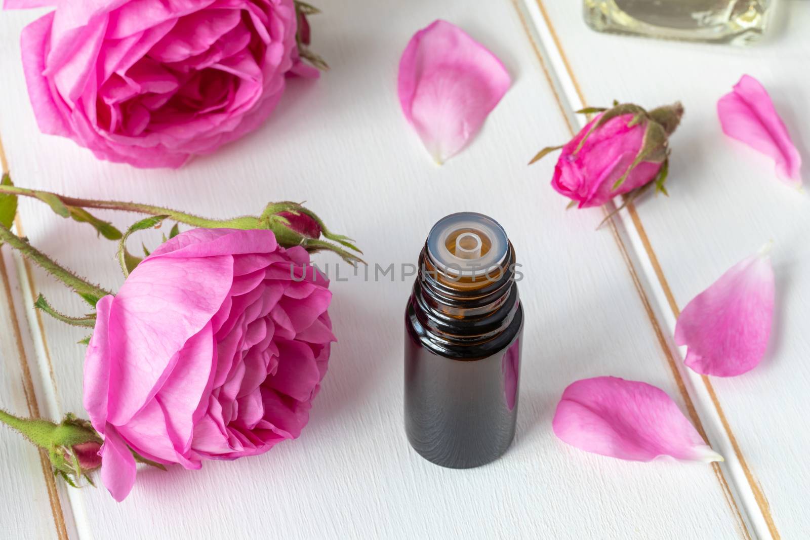 A dark bottle of essential oil with fresh roses on a white background