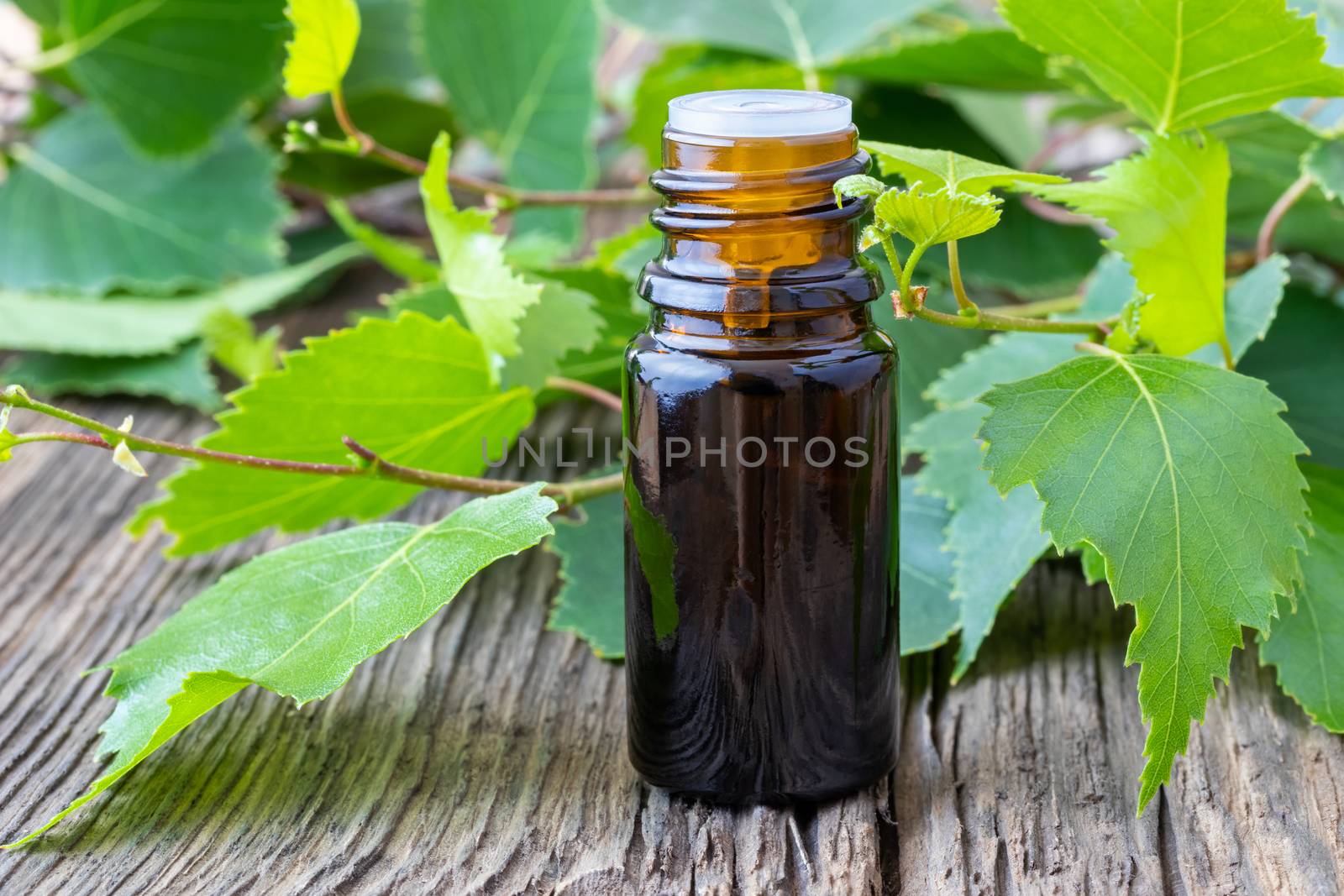 A bottle of essential oil with birch branches on a wooden background