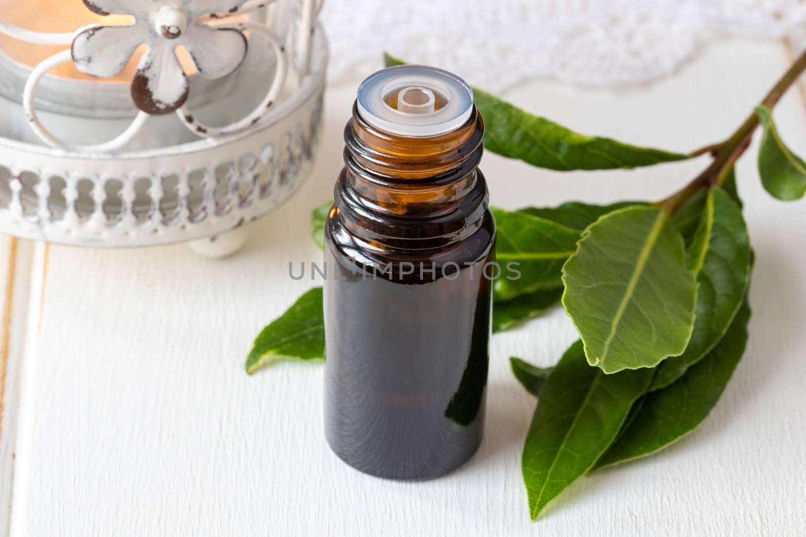 A bottle of essential oil with fresh bay leaves on white background