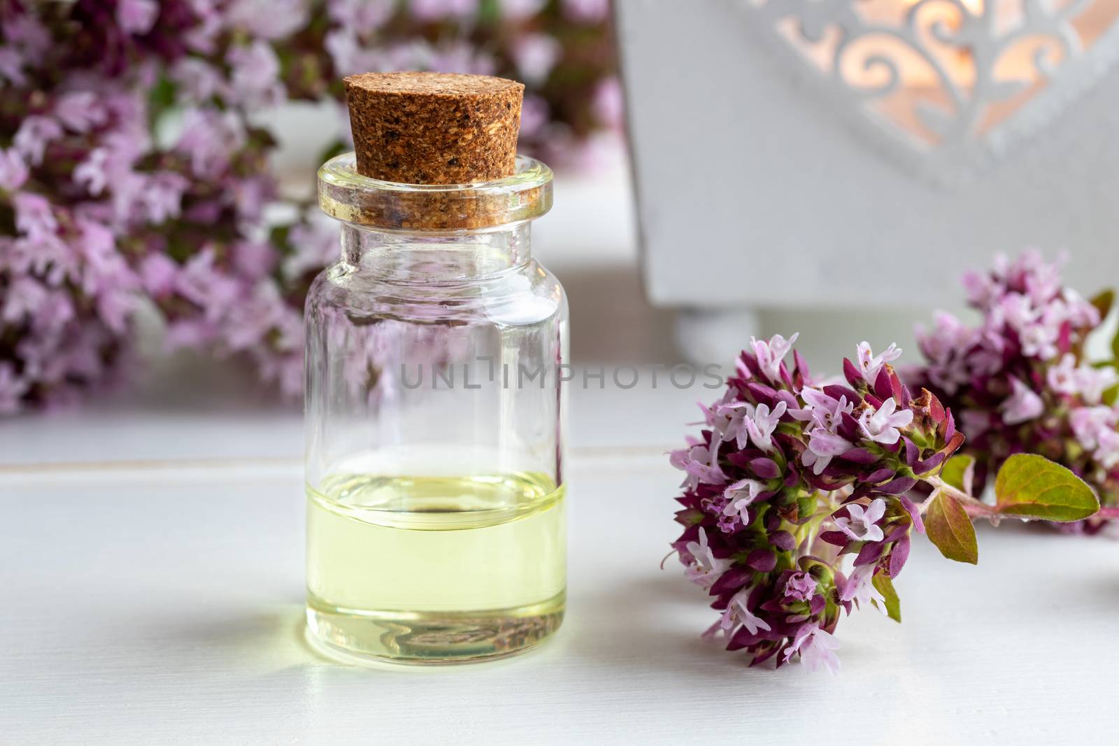 A bottle of essential oil with fresh blooming oregano