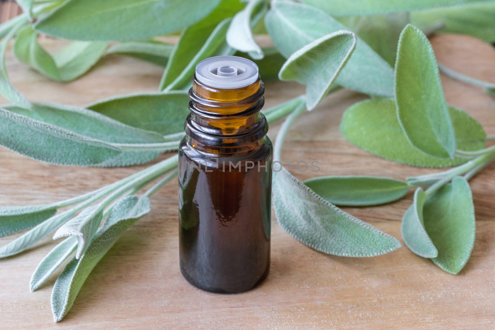 A bottle of essential oil with fresh sage twigs