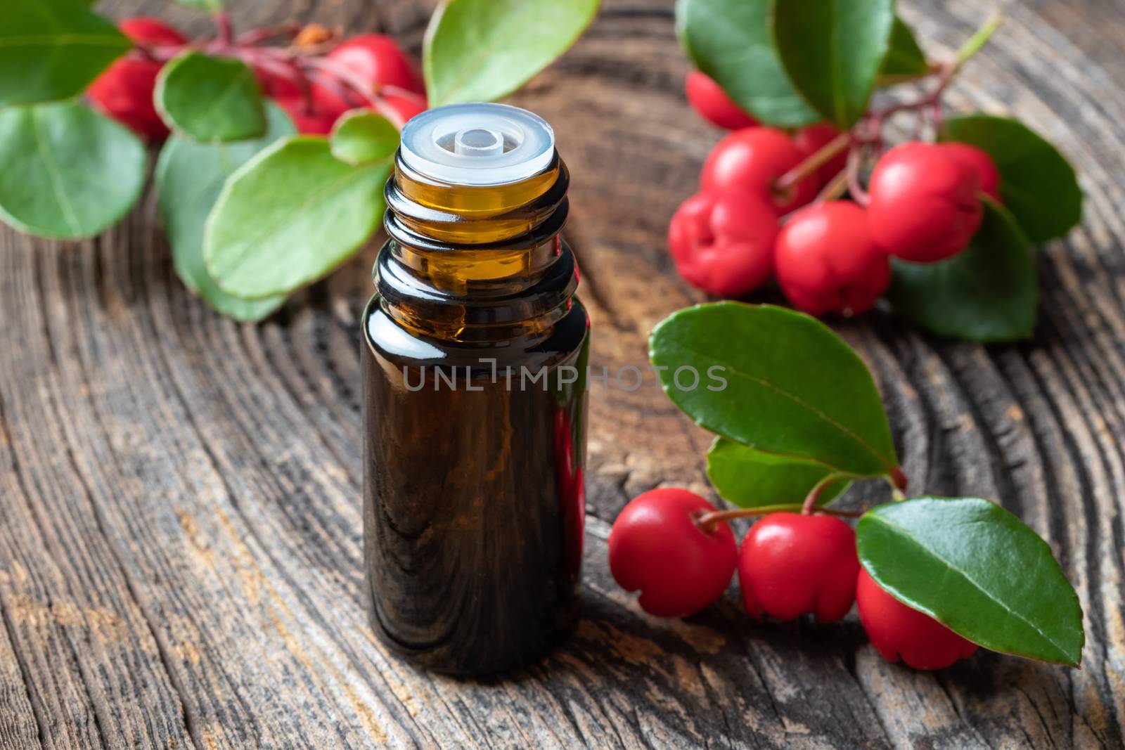 A bottle of essential oil with fresh wintergreen twigs oon a wooden background