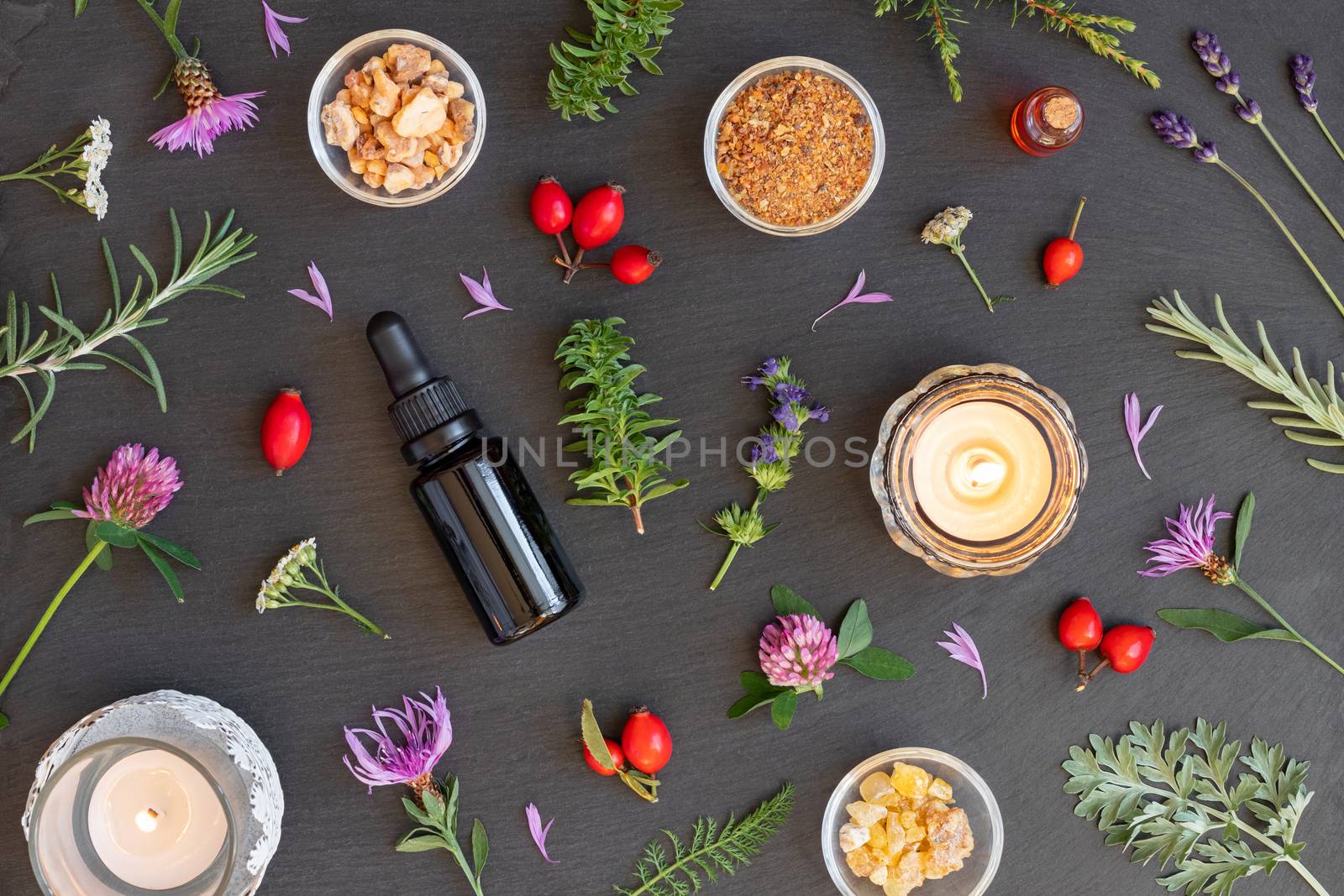 Bottles of essential oil with frankincense, hyssop, mountain savory and other herbs on a dark background