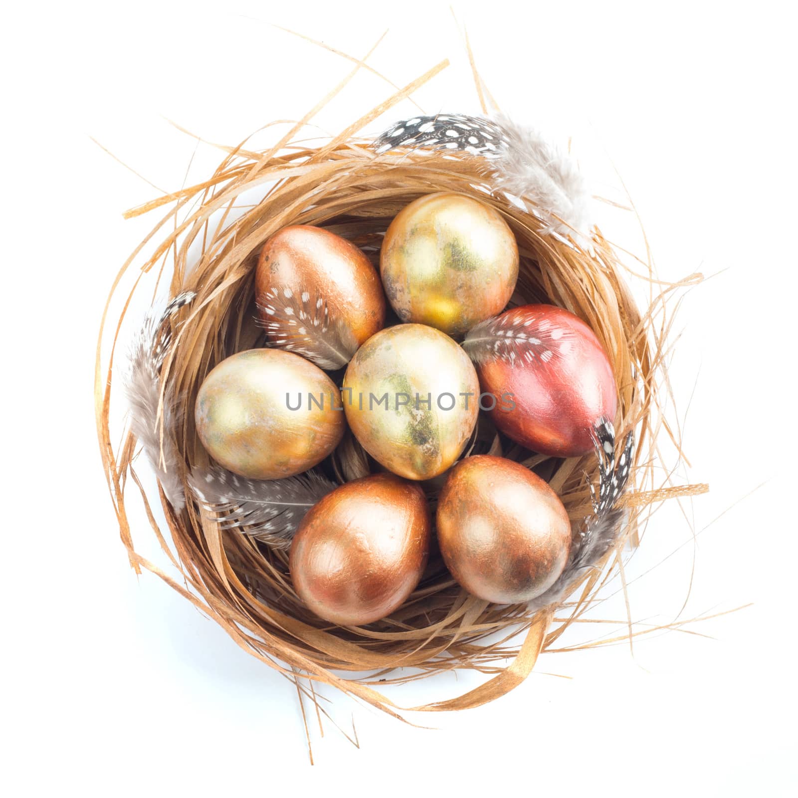 Easter nest with golden eggs by destillat