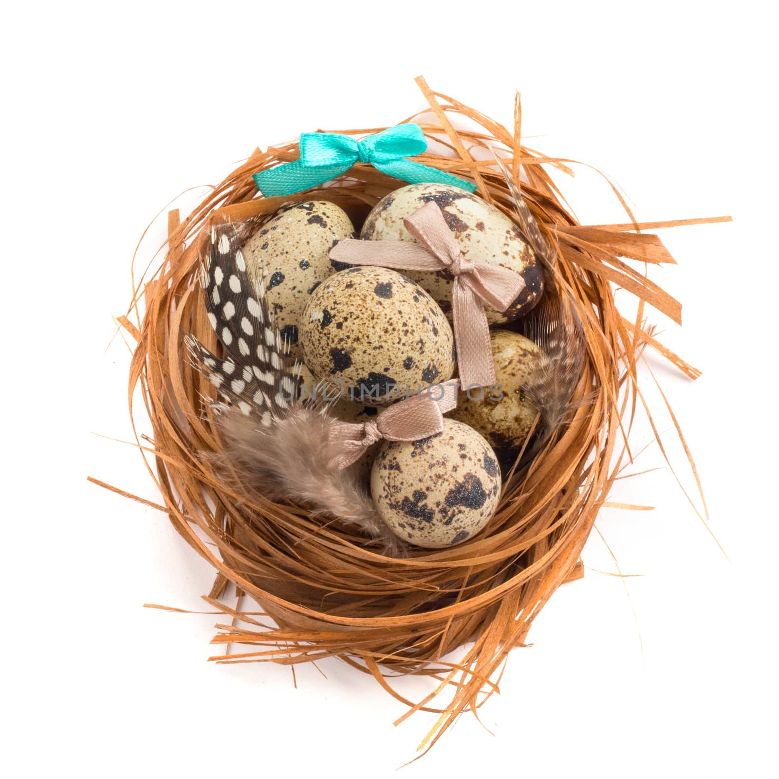 Happy Easter holiday greeting symbol natural wooden grass nest with quail eggs studio isolated on white background