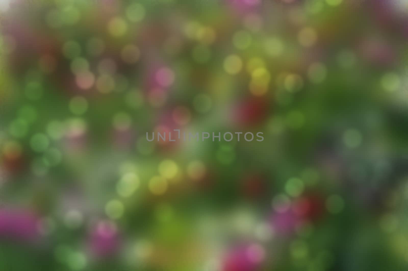green red and yellow bokeh background with blurs