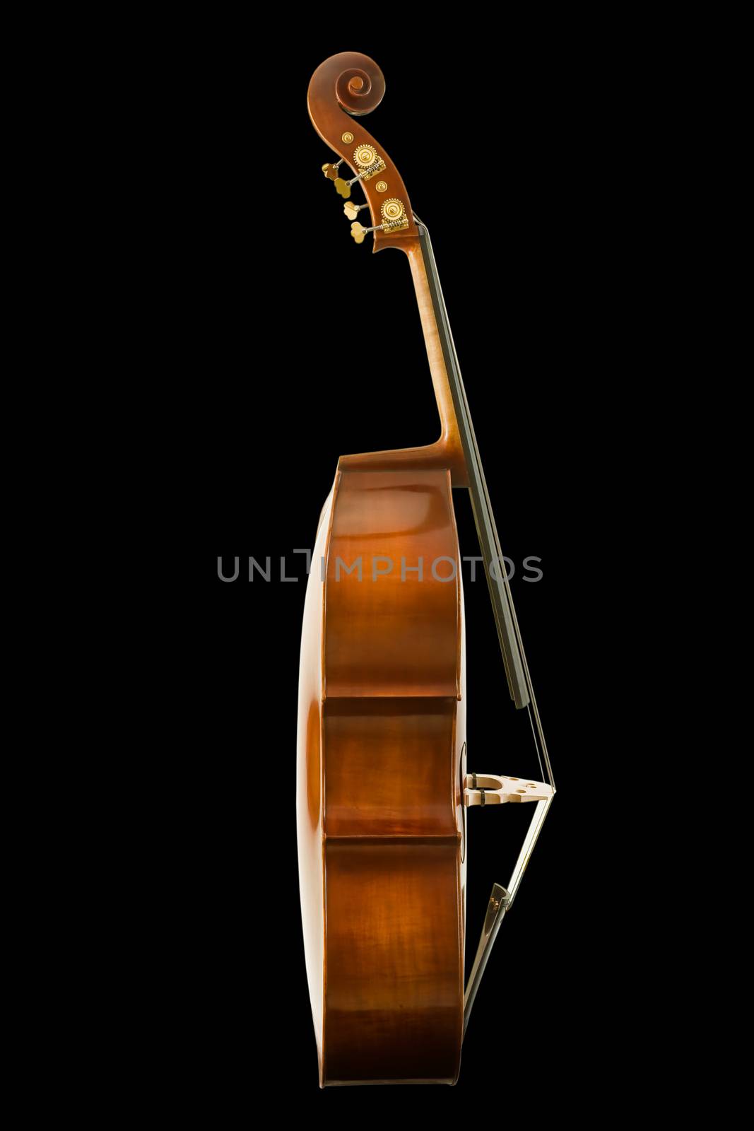 Side view of vintage viola isolated on black background, clipping path