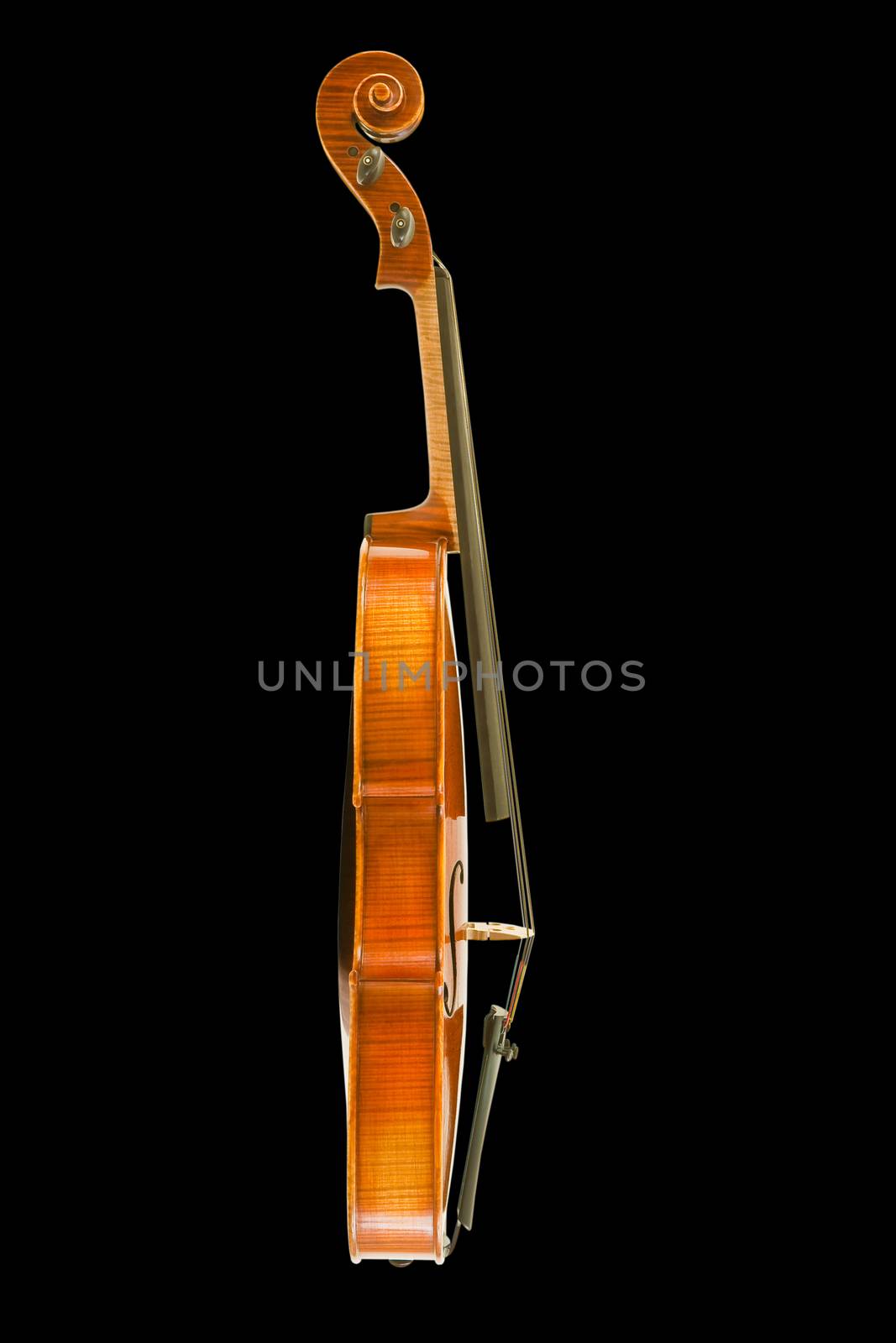 Side view of vintage violin isolated on black background, clipping path