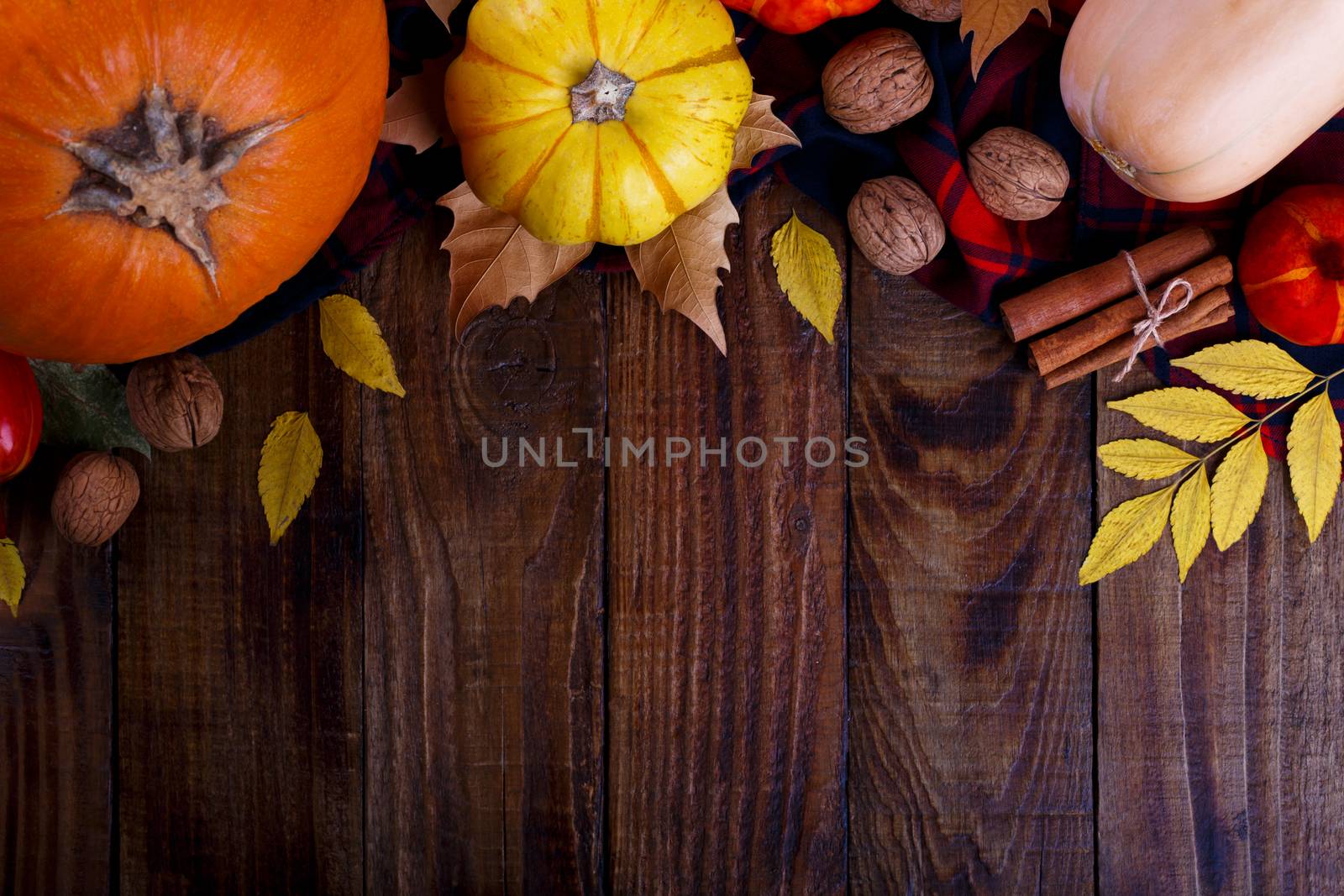 Autumn thanksgiving background by Lana_M