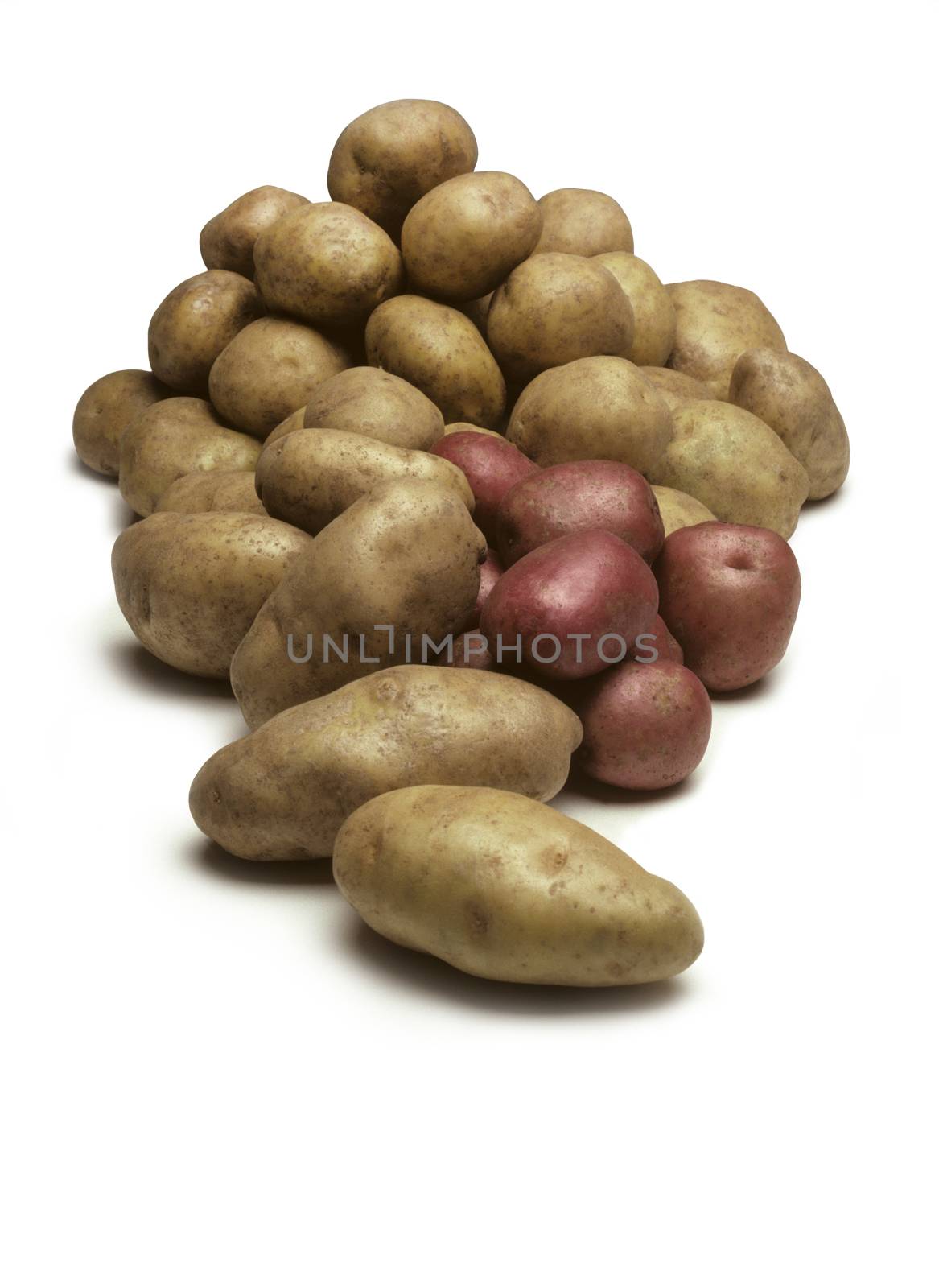 A pile of various types of potatoes isolated on a white background
