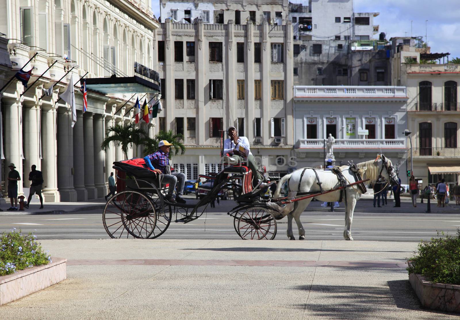 Horse and carriage on the streets of Havana by friday