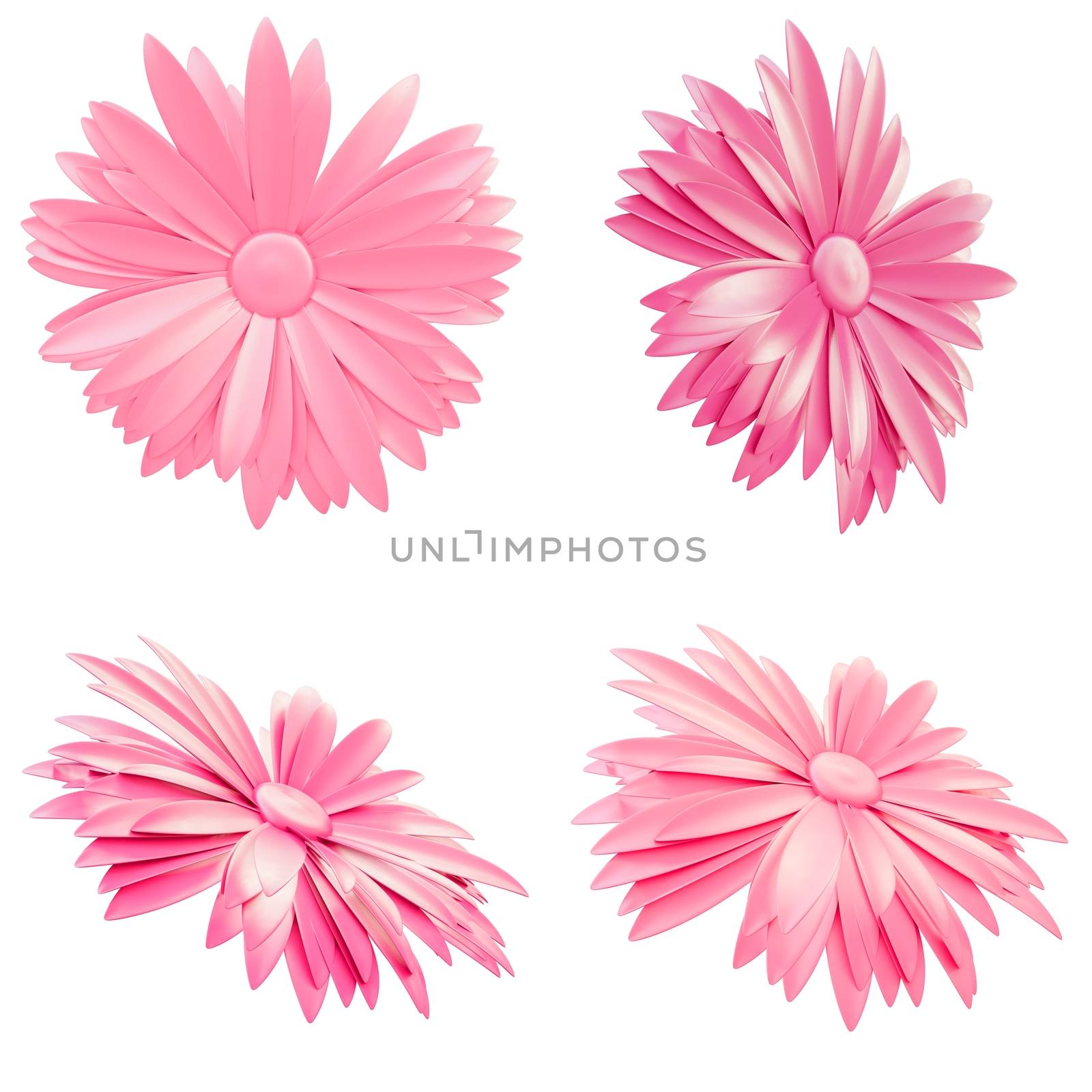 Set of Light Pink Flowers isolated on white background by cherezoff