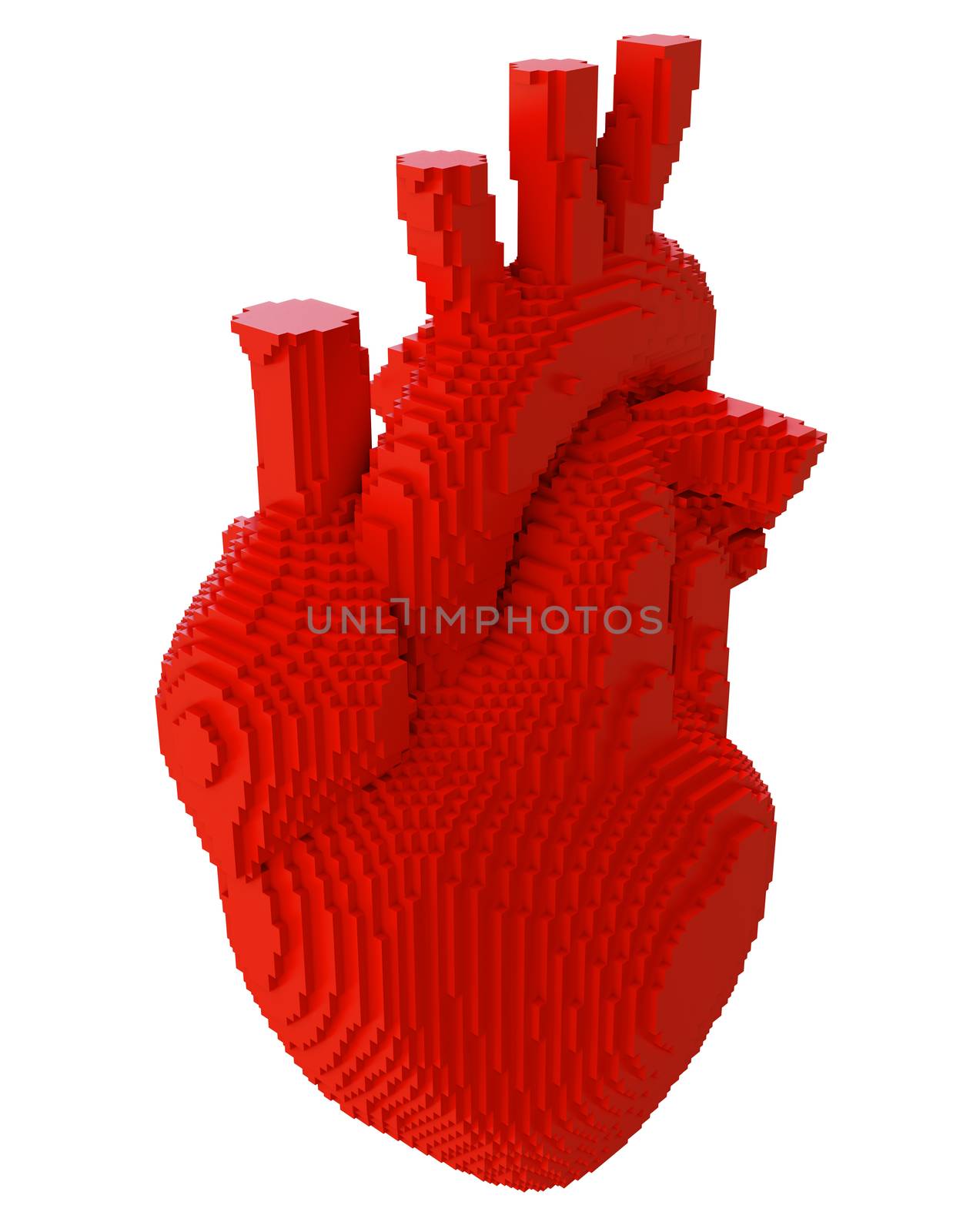 3d printed heart isolated by cherezoff