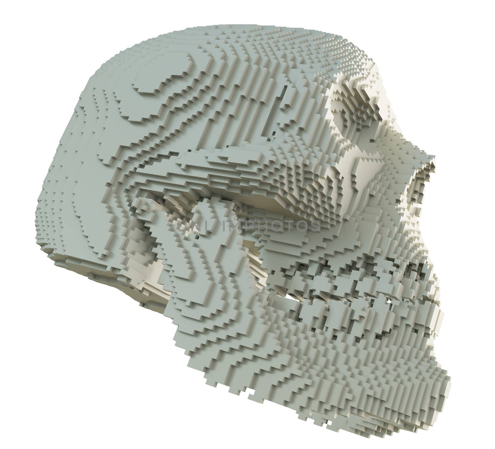 3d printed skull isolated by cherezoff