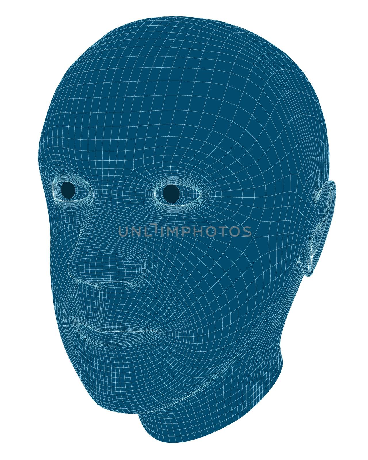 Wireframe 3D Rendering of a Man's Head by Balefire9