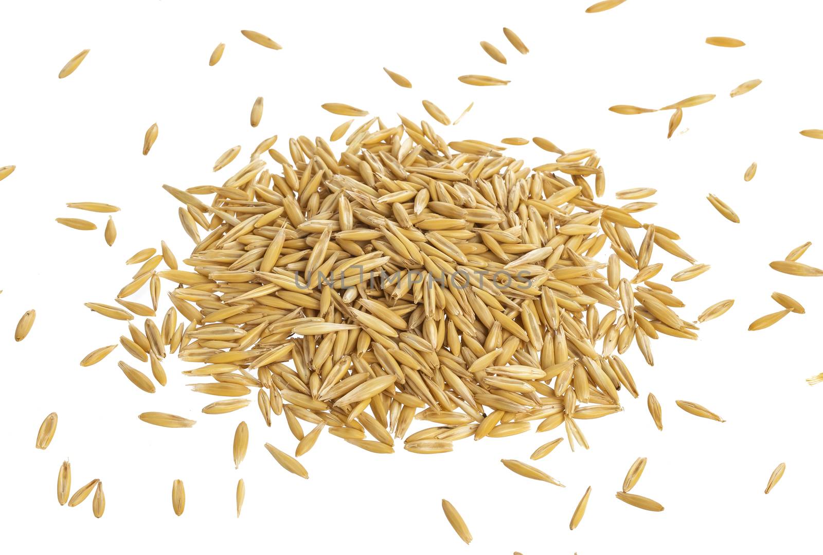 Pile of oat seeds isolated on white background, top view, grain of oats