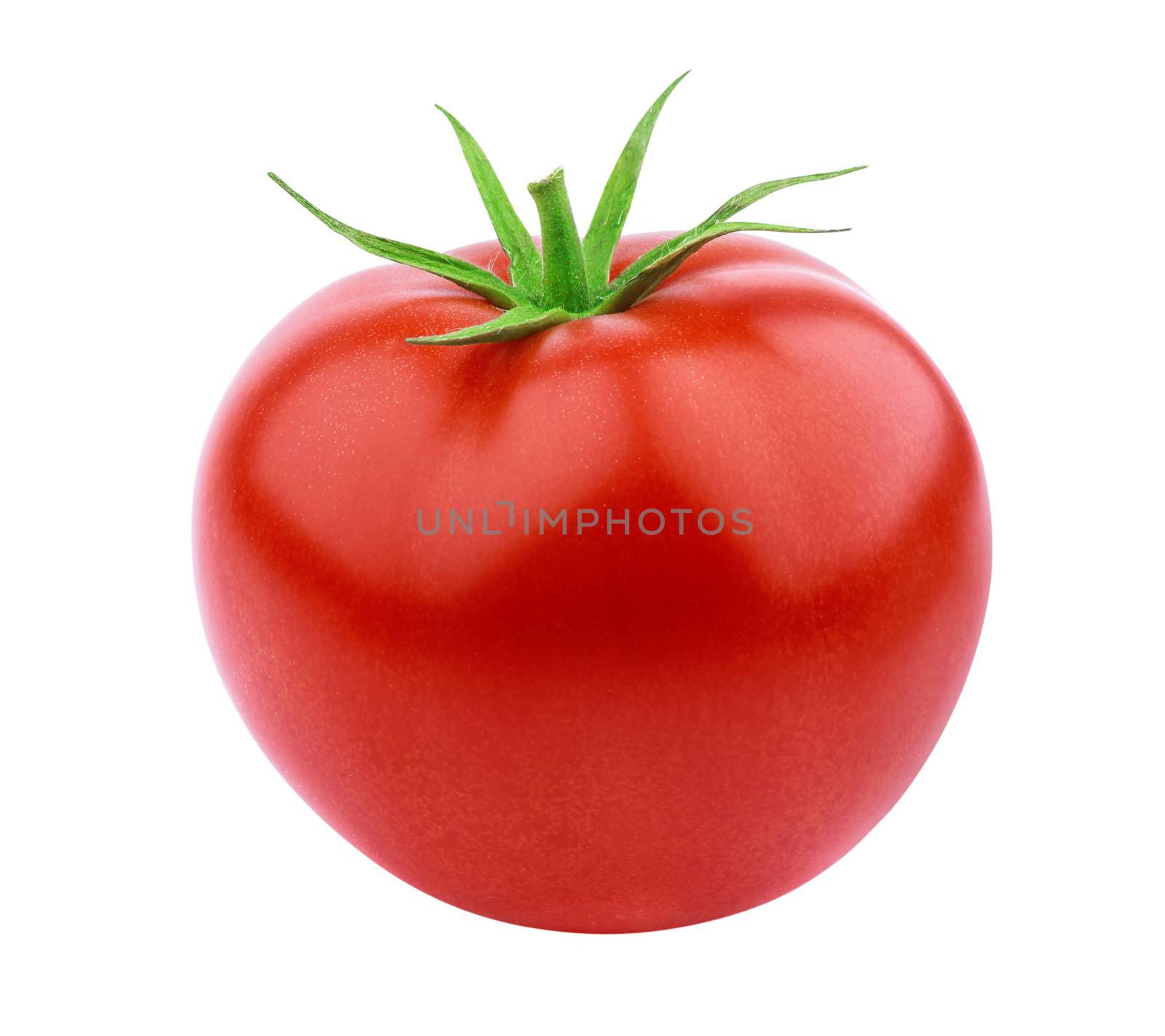 One whole tomato isolated isolated on white background with clipping path