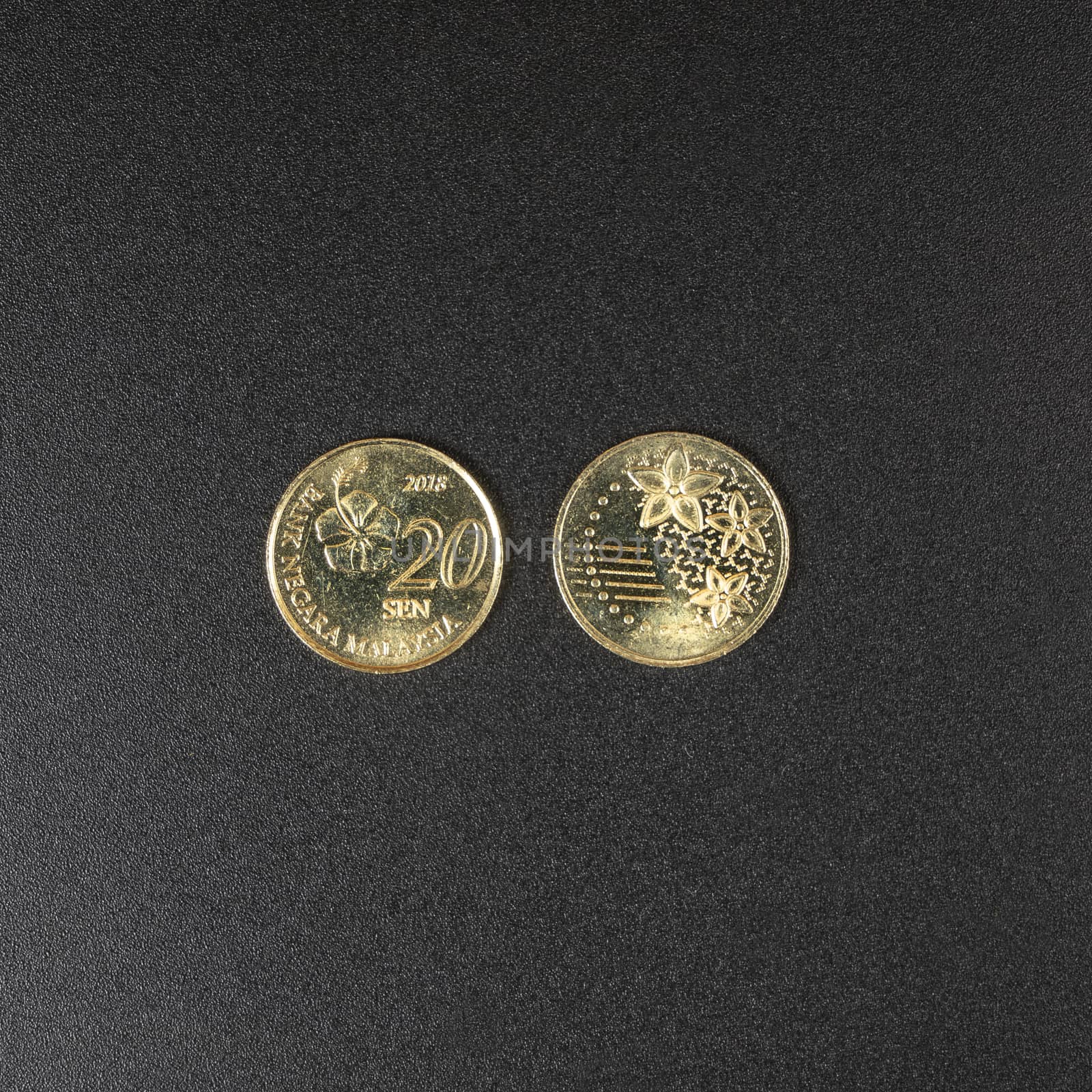 A 20 Sen coin of Malaysian Ringgit