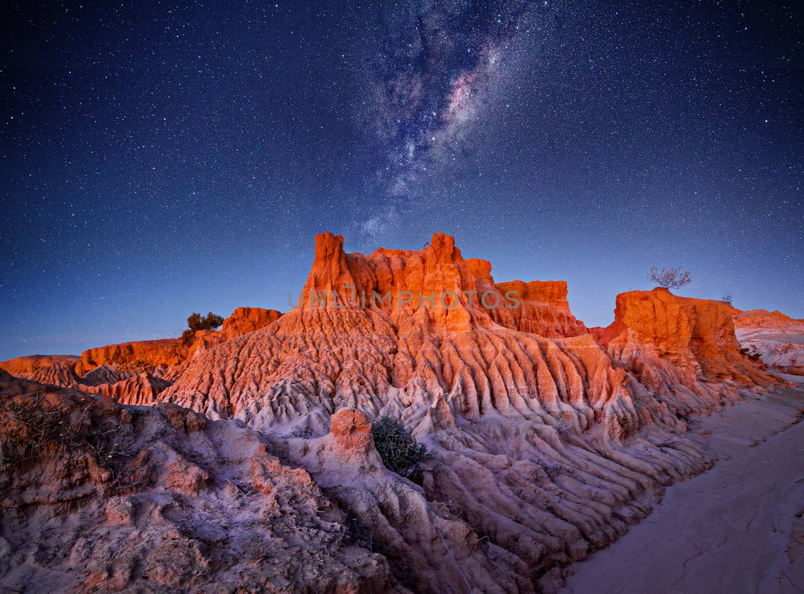 Starry skies over desert landscape by lovleah