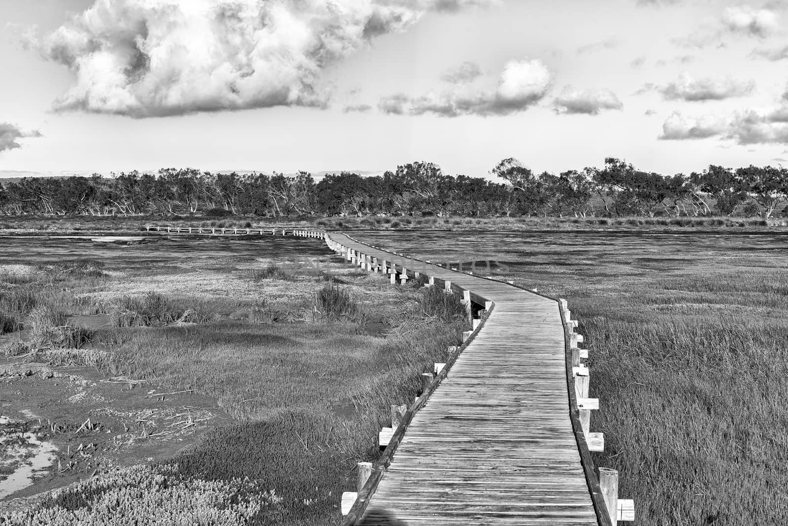 View from the boardwalk to the Geelbek Bird Hide on the Langebaan Lagoon on the Atlantic Ocean coast of the Western Cape Province. Monochrome