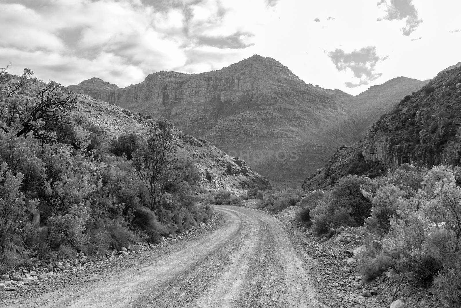 The Uitkyk Pass near Algeria in the Cederberg Mountains in the Western Cape of South Africa. Monochrome