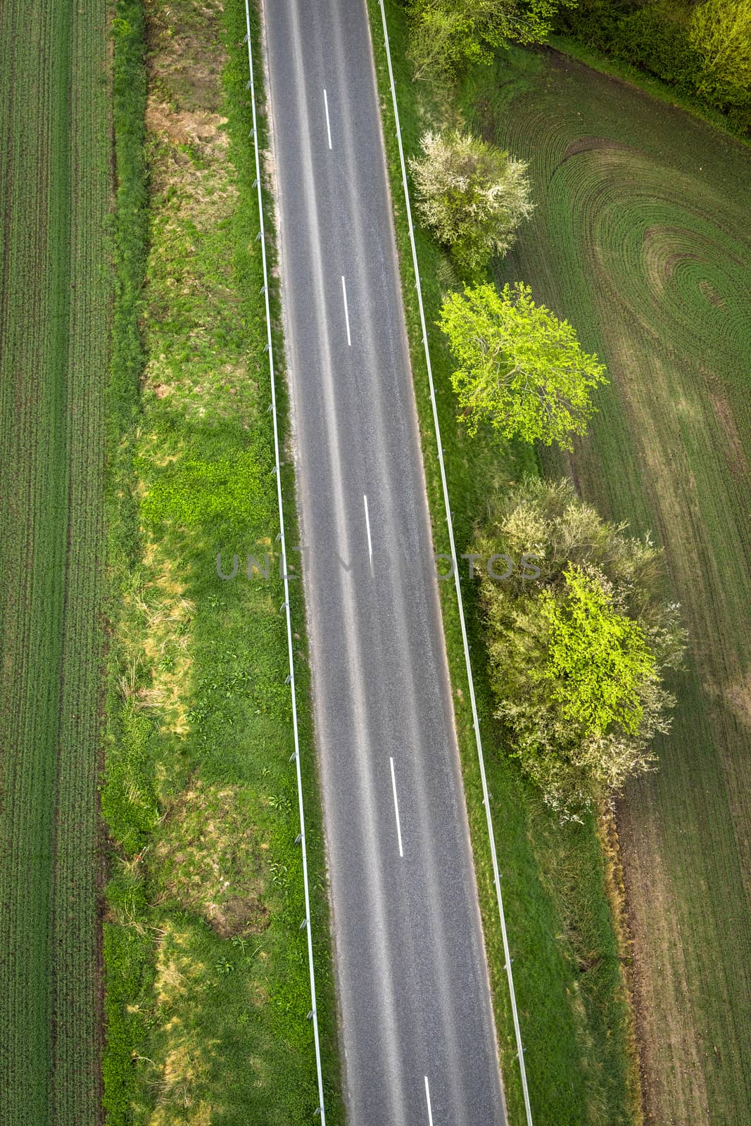 Asphalt road with green trees on the roadside seen from above