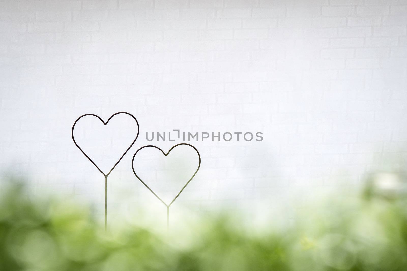 Two hearts together in a bright future with green colors in decoratiive shapes in the spring
