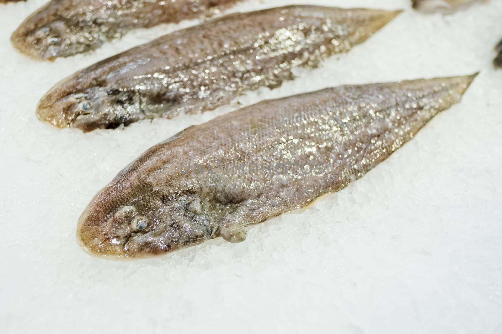 Fresh fish on ice in market