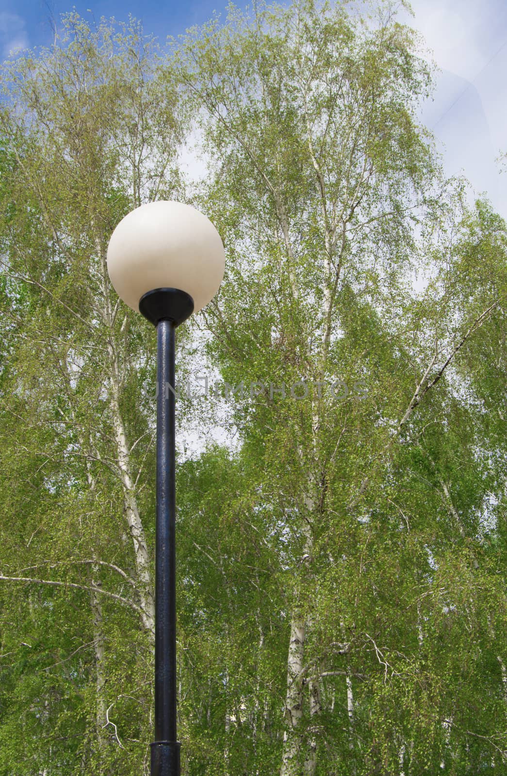 Lantern and green leaves on the trees in Park by claire_lucia