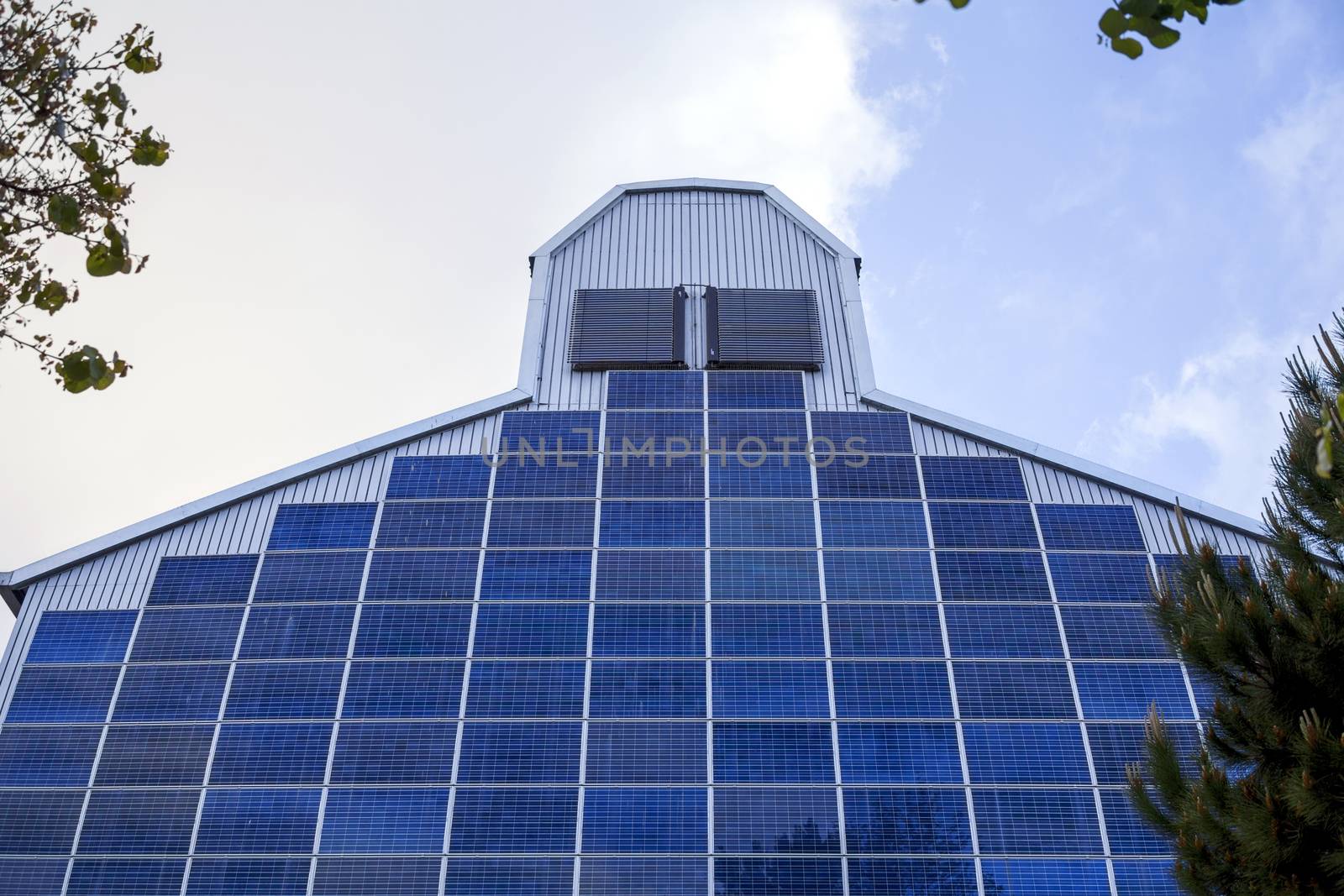 Renewable, alternative solar energy, photocell - solar panels on the wall of the building. In front of it are fluffy branches of green pine, as a symbol of environmental friendliness.