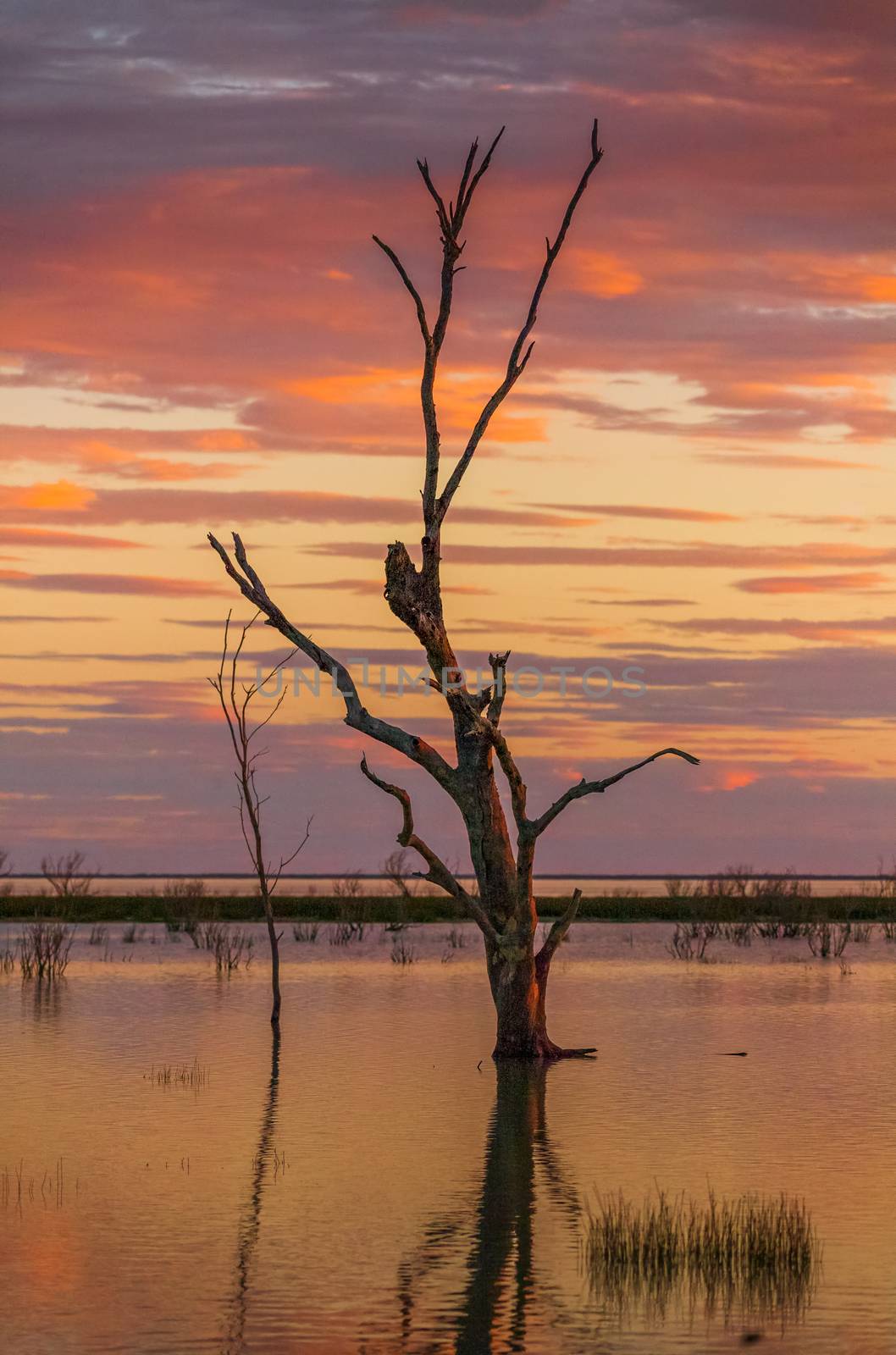 The many colours of an outback sunset viewed from Lake Menindee near Broken HillISO:800