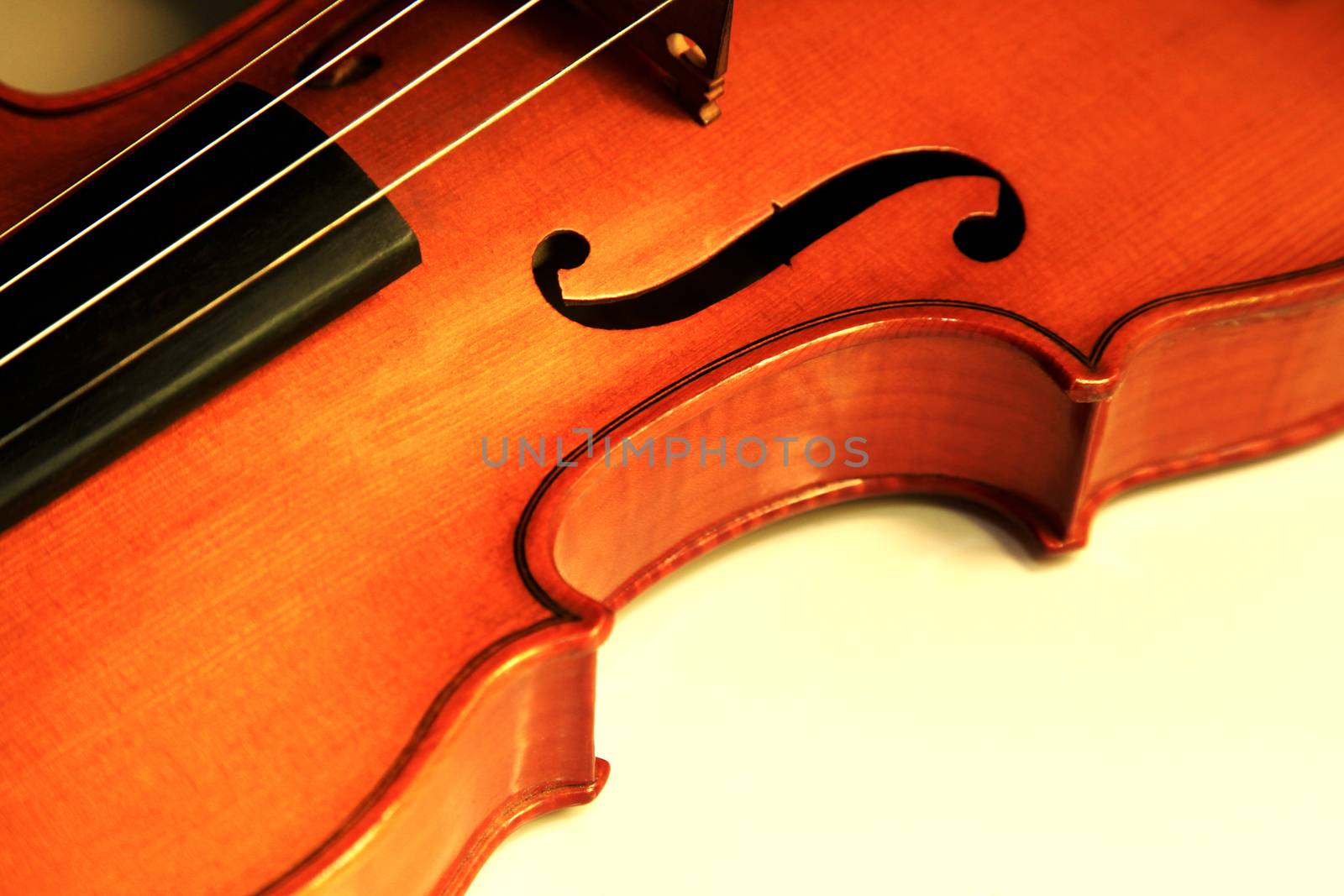 Old violin  by friday