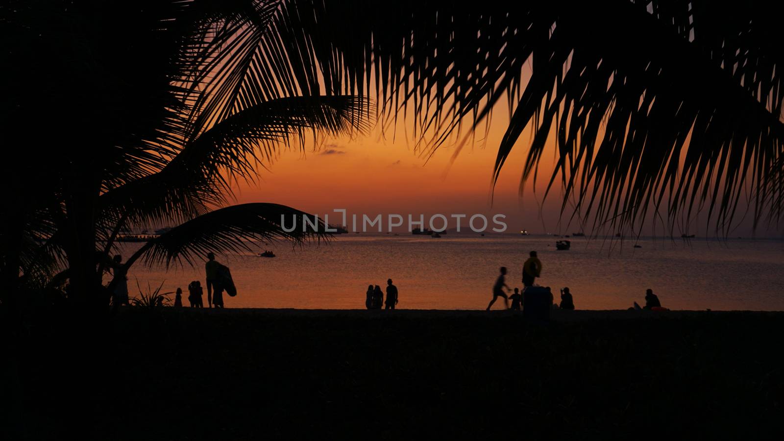 Silhouette of people on tropical beach at sunset - Tourists enjoying time in summer vacation - Travel, holidays and landscape concept - Focus on palm tree