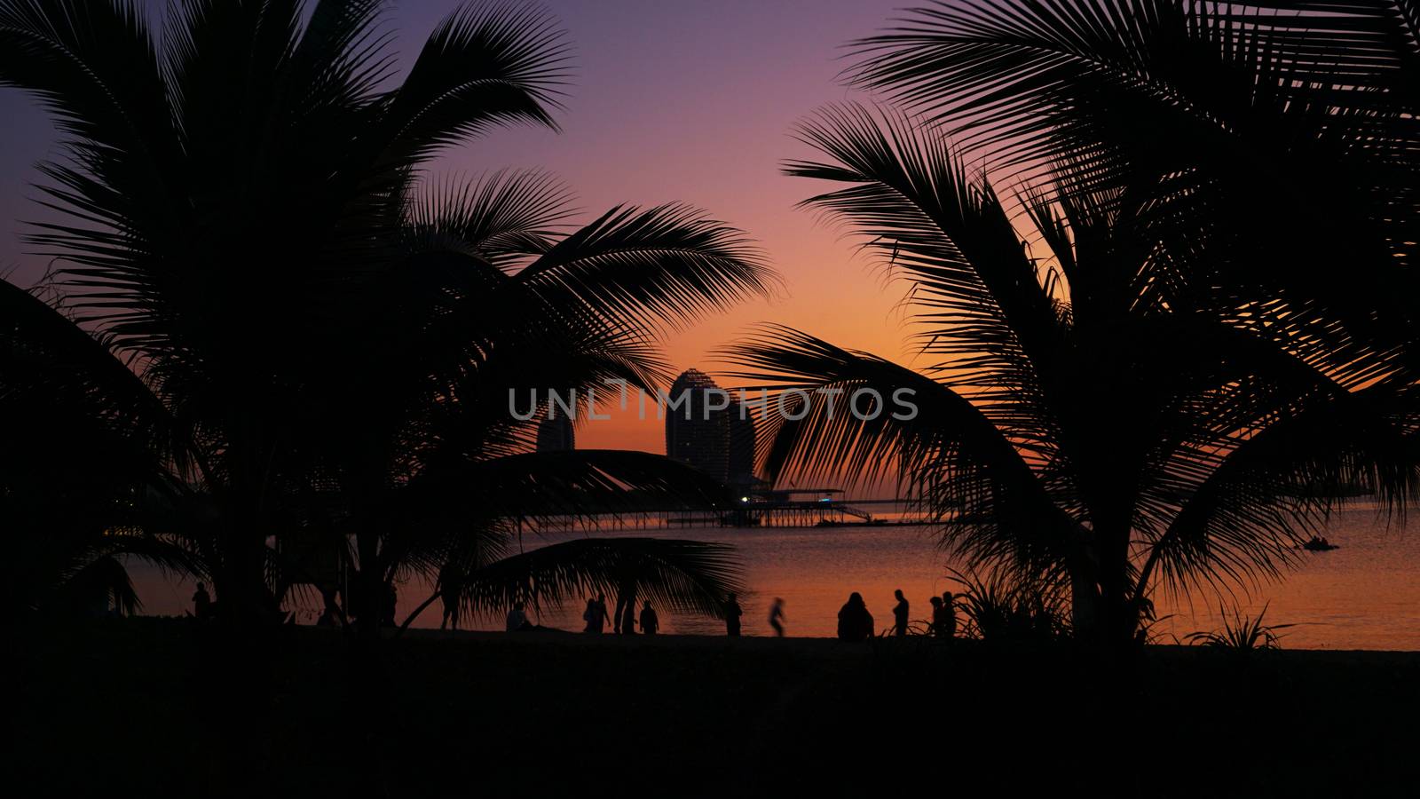 Silhouette of people on tropical beach at sunset - Tourists enjoying time in summer vacation - Travel, holidays and landscape concept - Focus on palm tree. Hainan, Sanya.