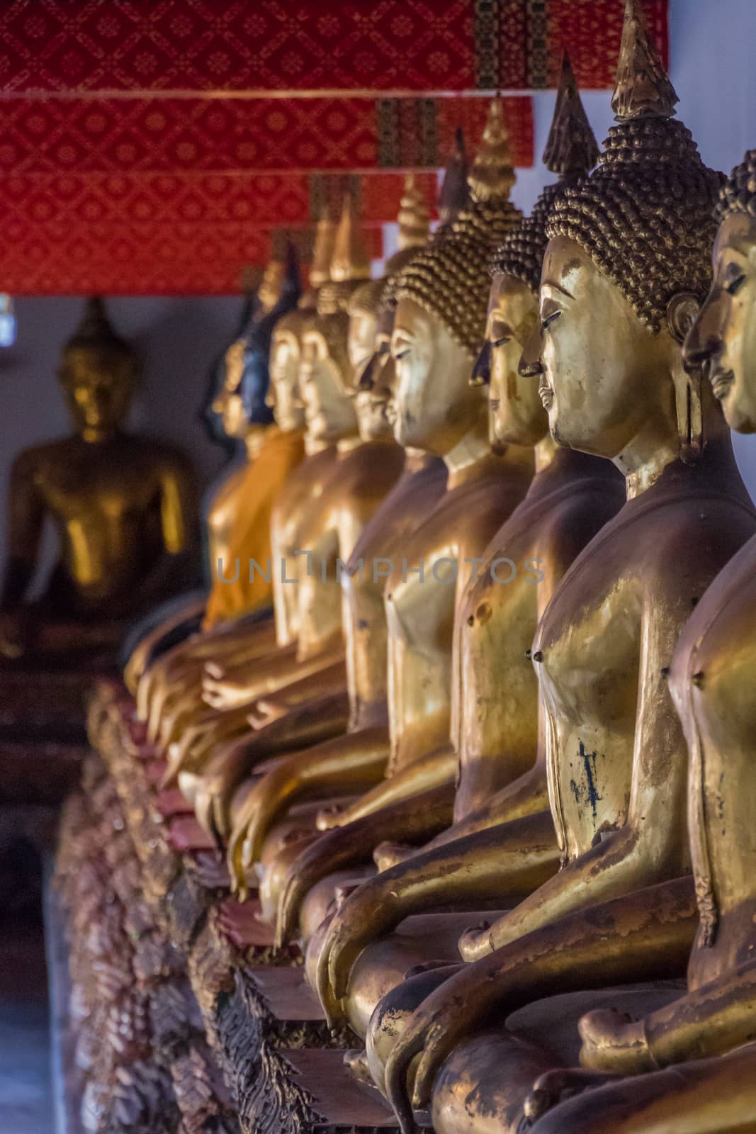 Row of Buddhas placed in a temple in Bangkok