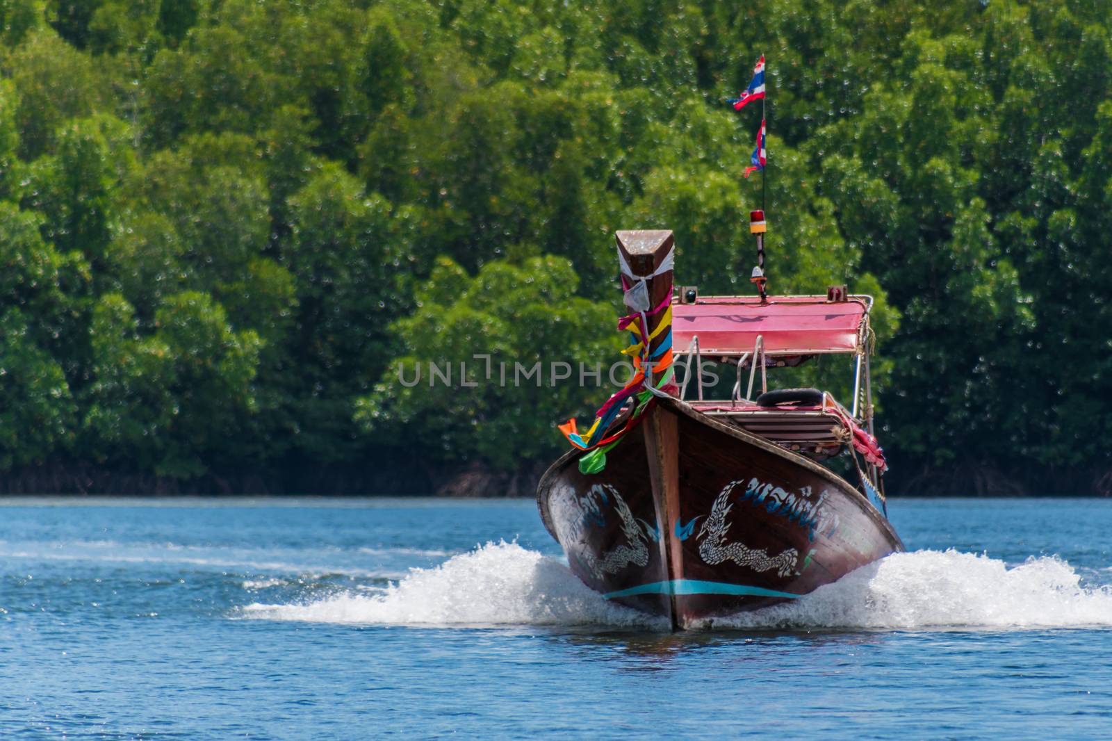 Long tail boat driving fast in front of green blue background
