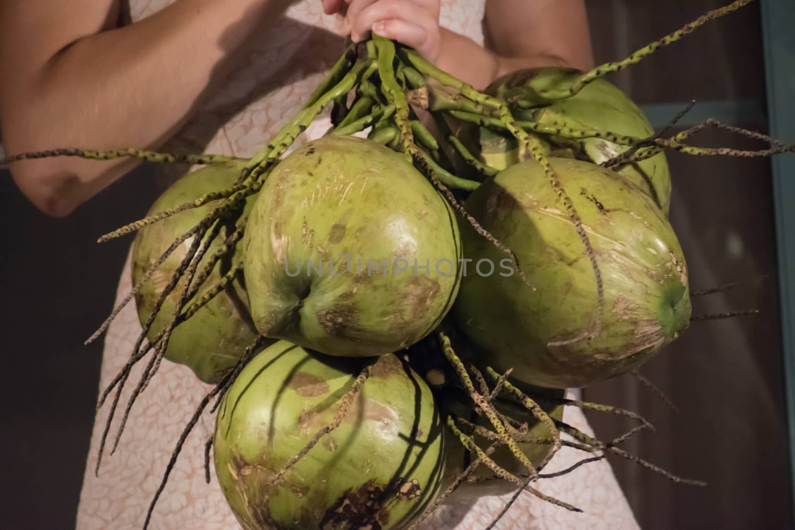 Bunch of coconuts freshly harvested with rind_ by MXW_Stock