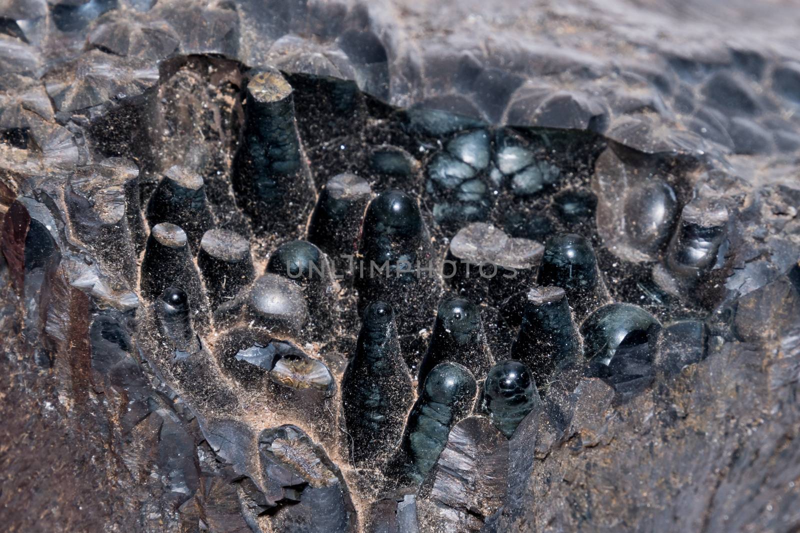 Stalagmite on black gemstone gem jewel mineral precious stone caption