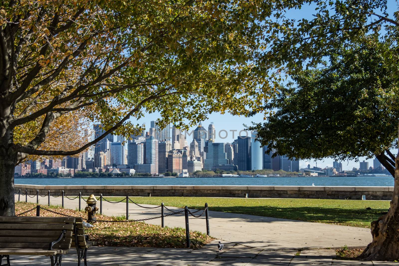 New York Manhattan Skyline seen from park on Ellis Island bench trees