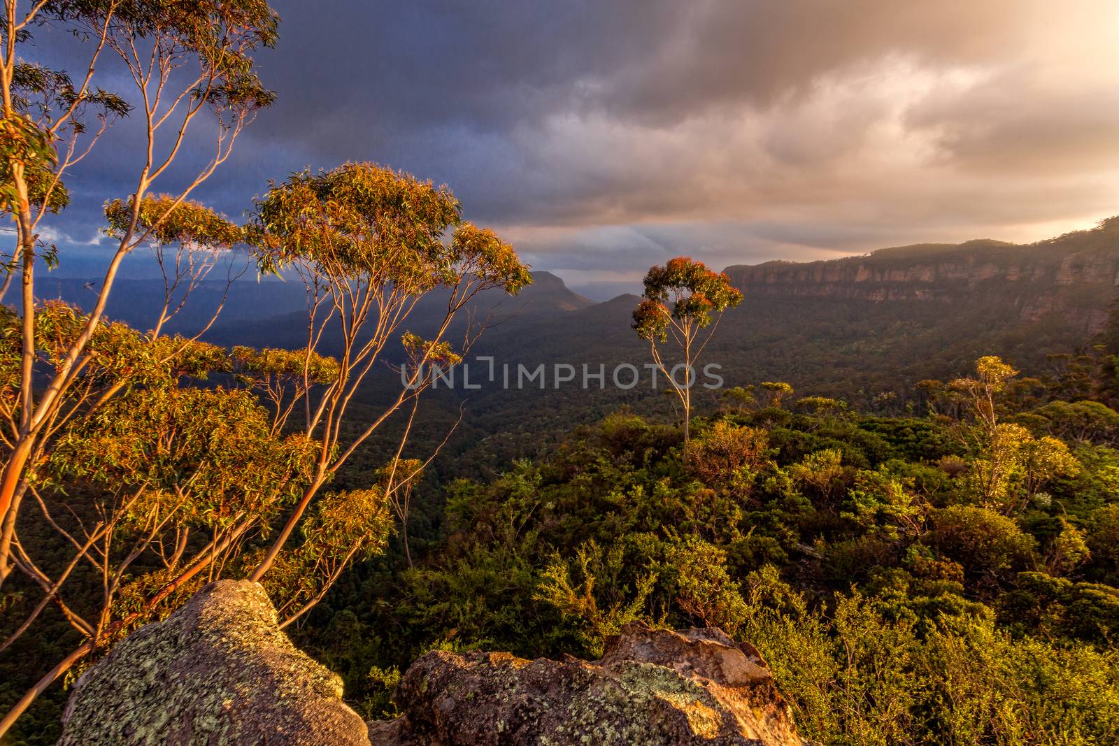 Afternoon light in the Blue Mountains as a storm came in